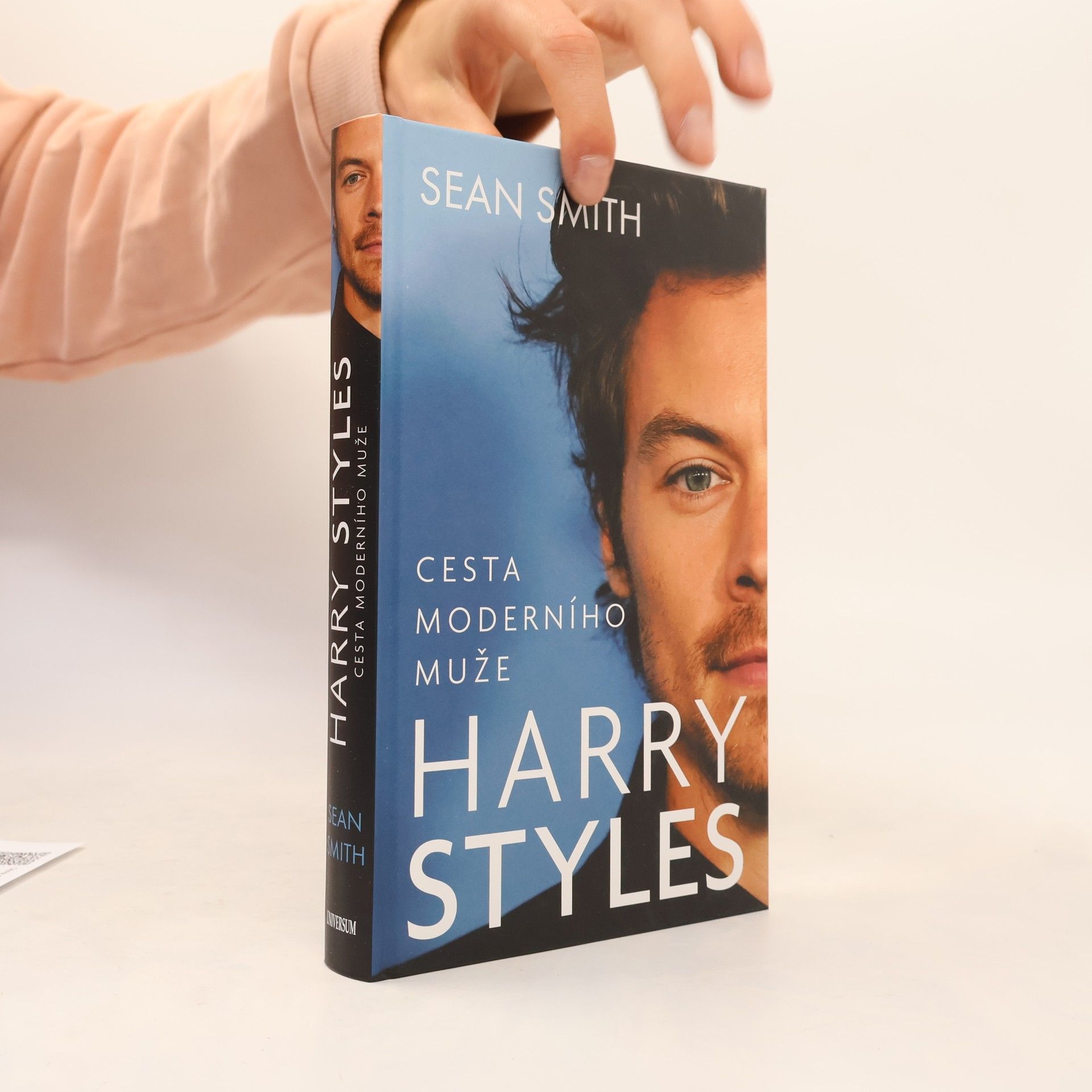 Sean Smith Harry Styles: Cesta moderního muže