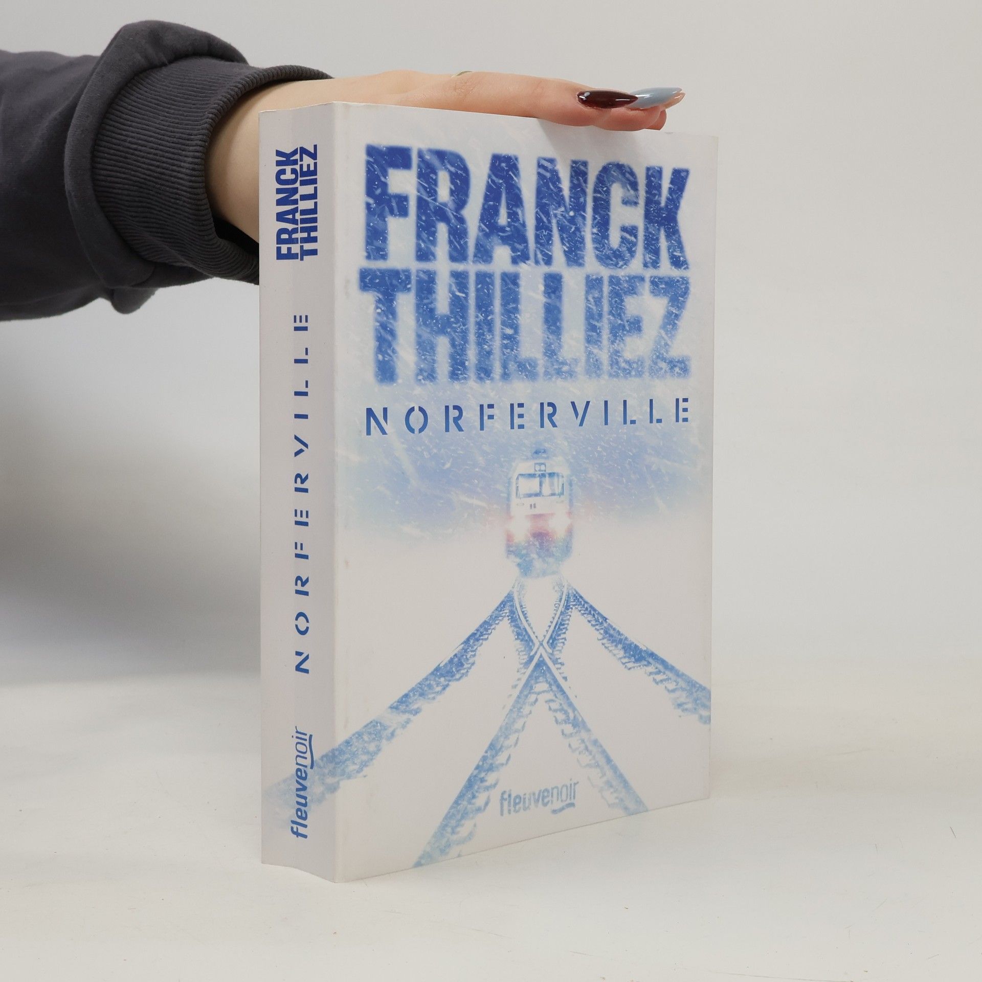 Franck Thilliez Fleuve noir: Norferville