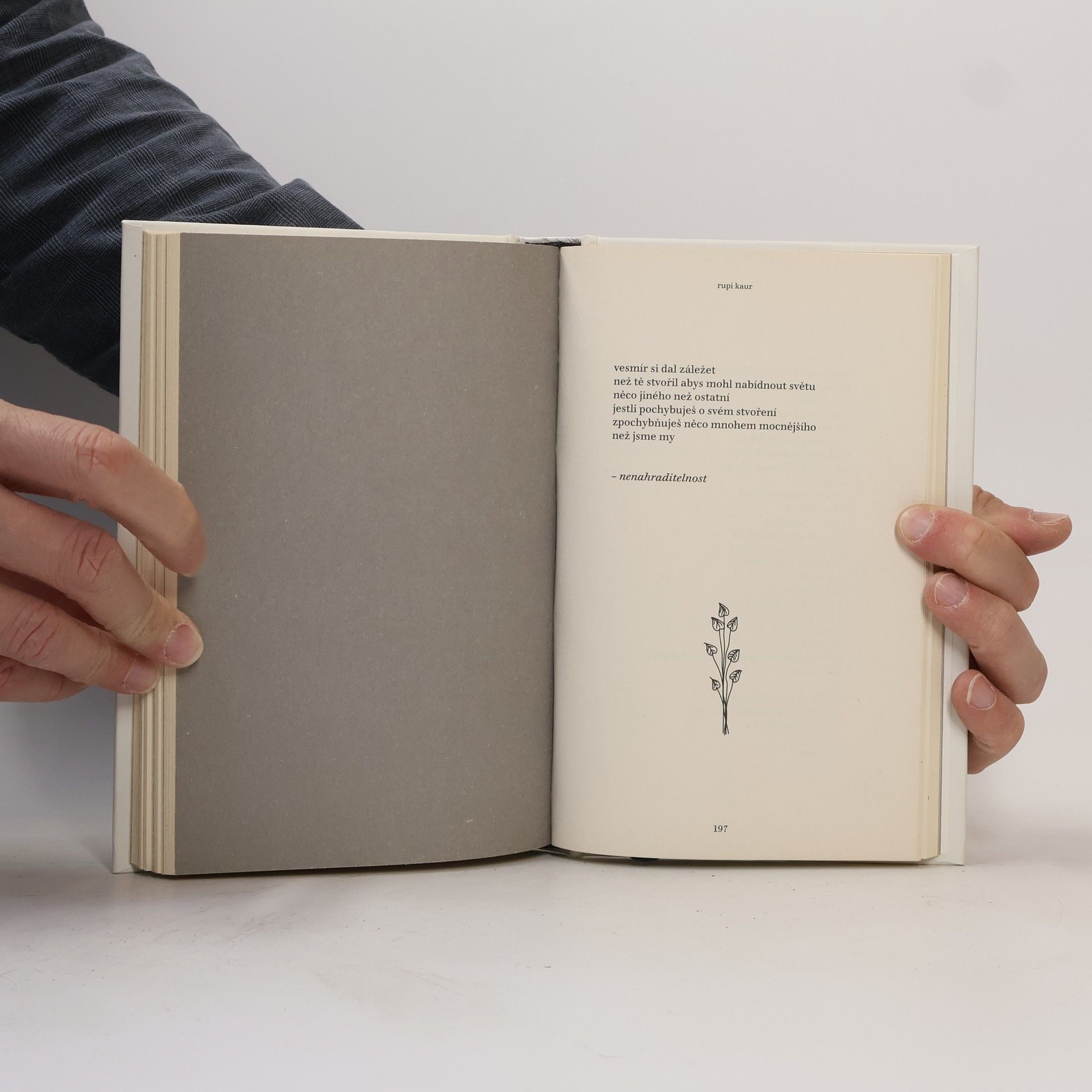 Rupi Kaur Květy slunce