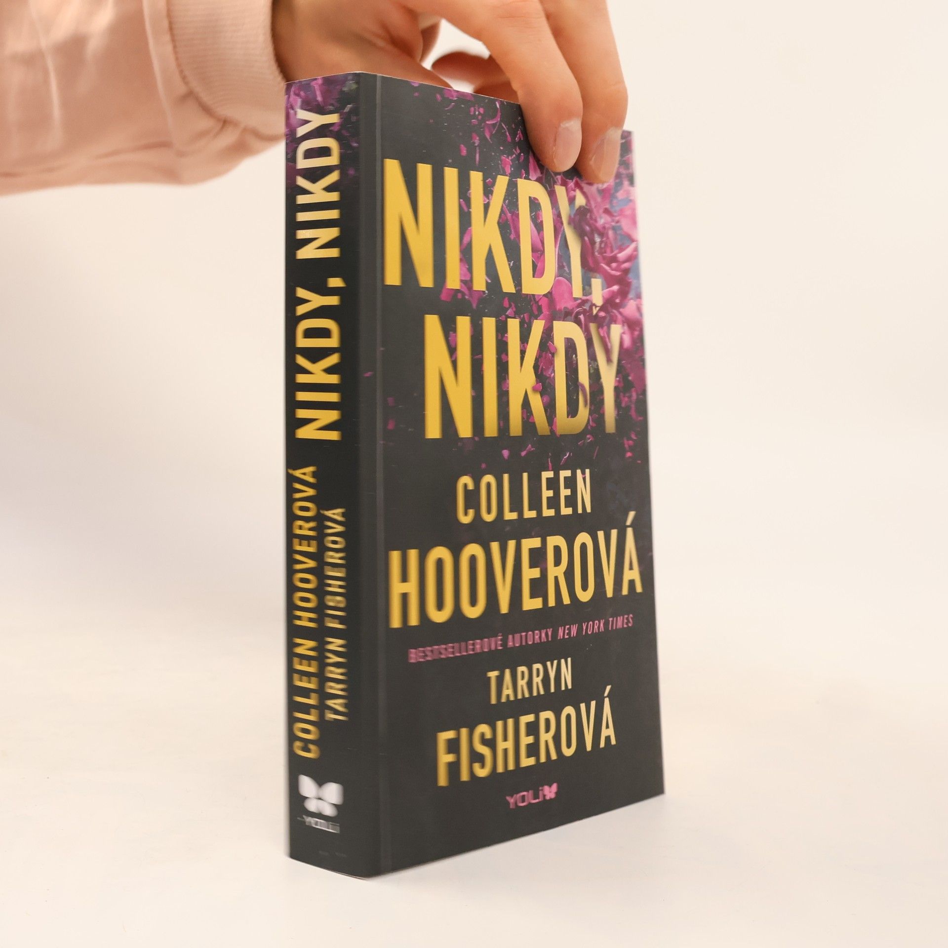 Colleen Hoover Nikdy, nikdy