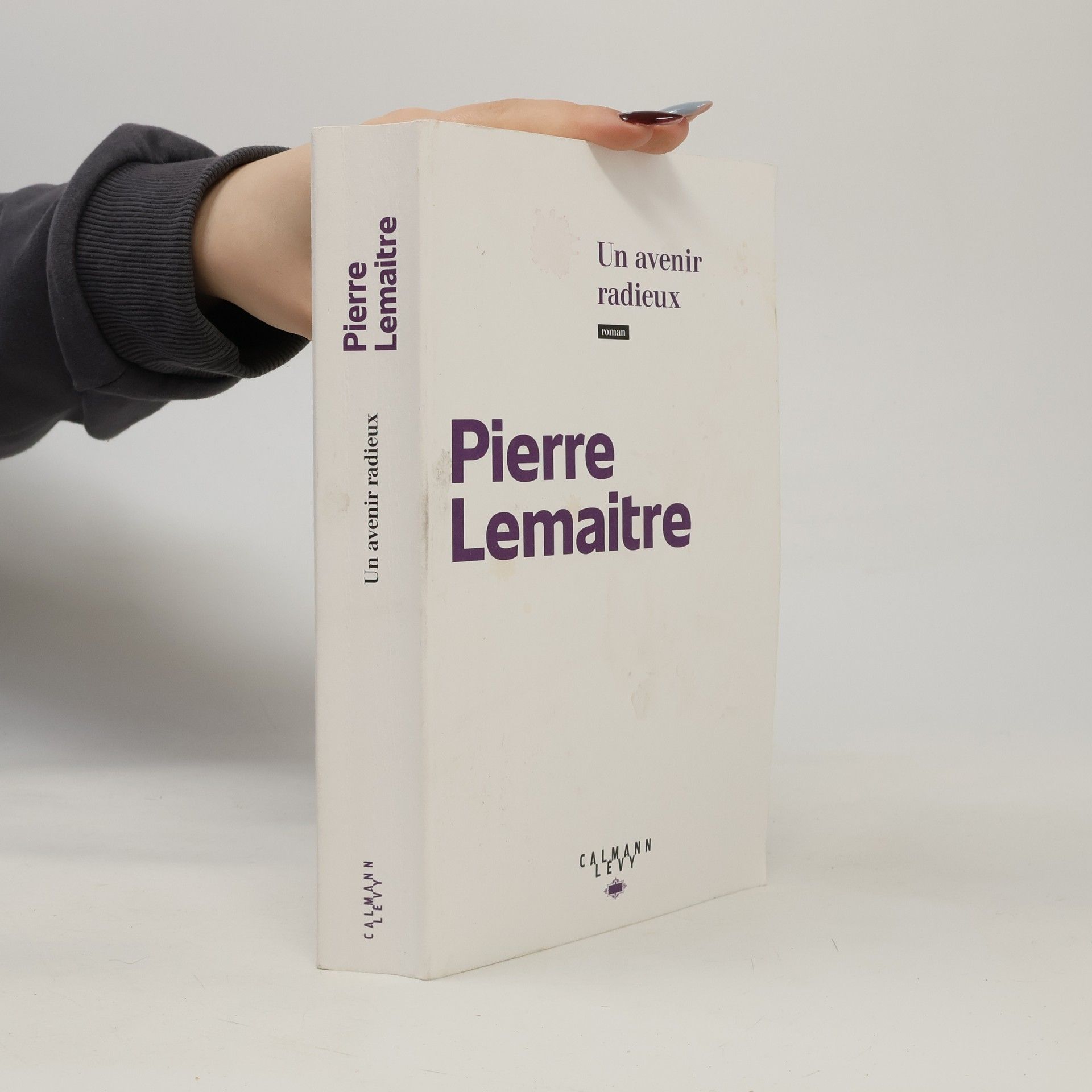 Pierre Lemaitre Un avenir radieux