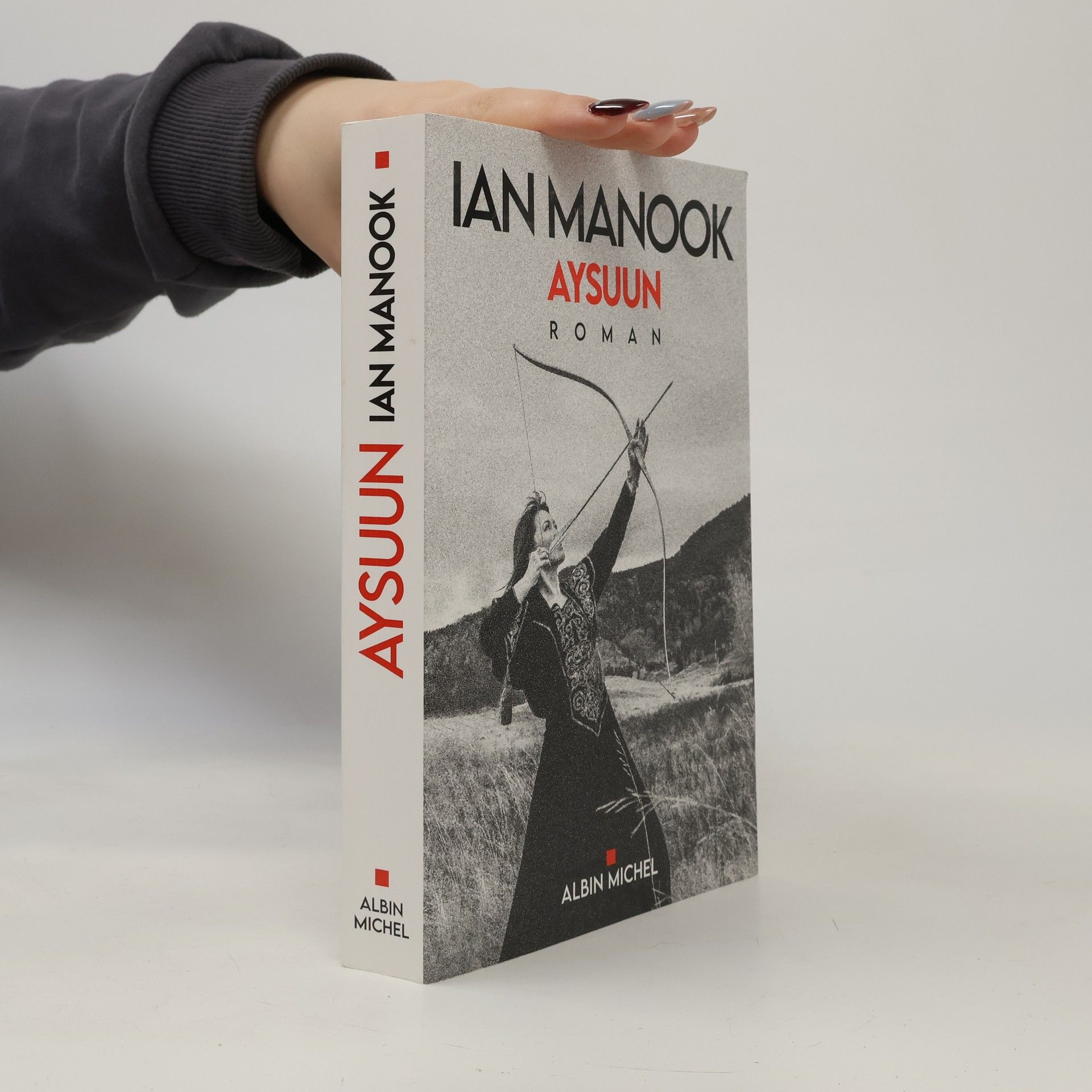 Ian Manook Aysuun