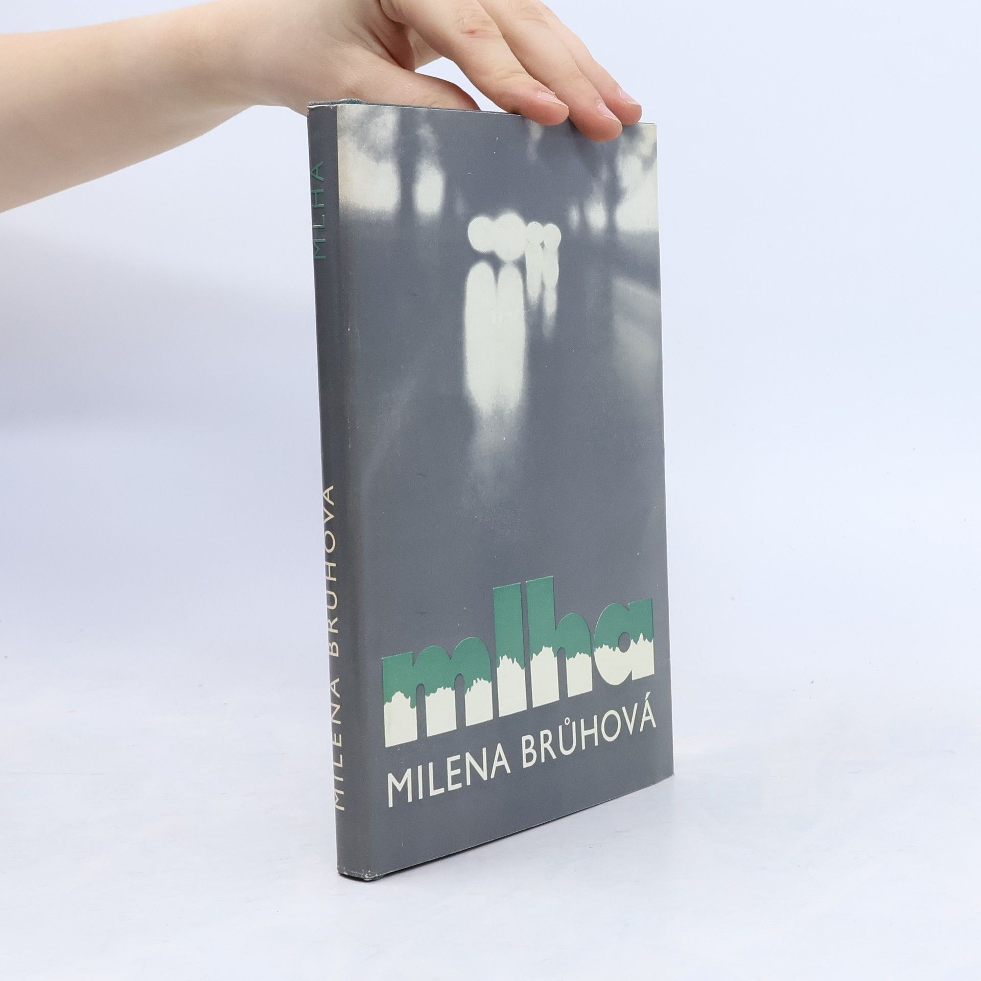 Milena Brůhová Mlha