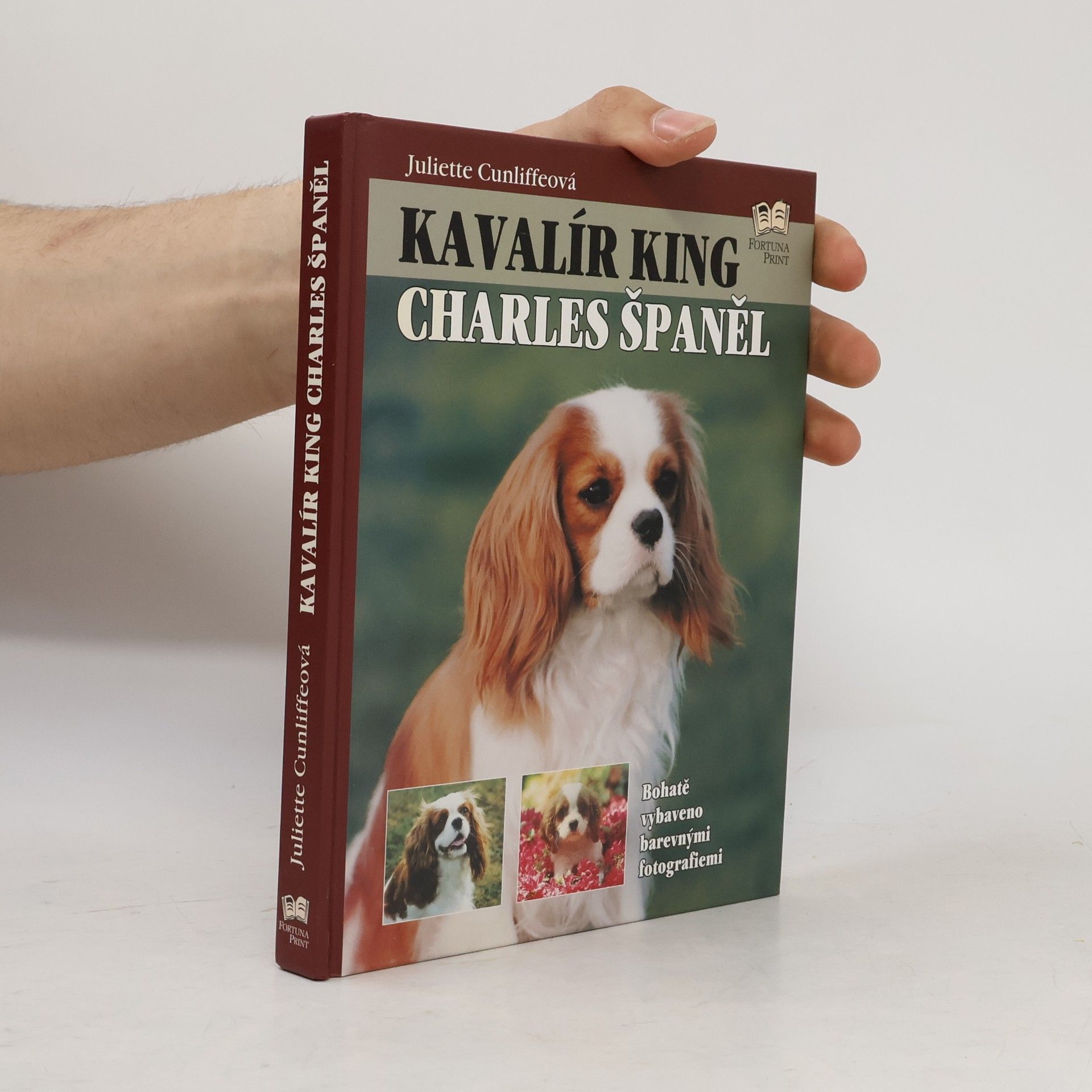 Juliette Cunliffe Kavalír king Charles španěl