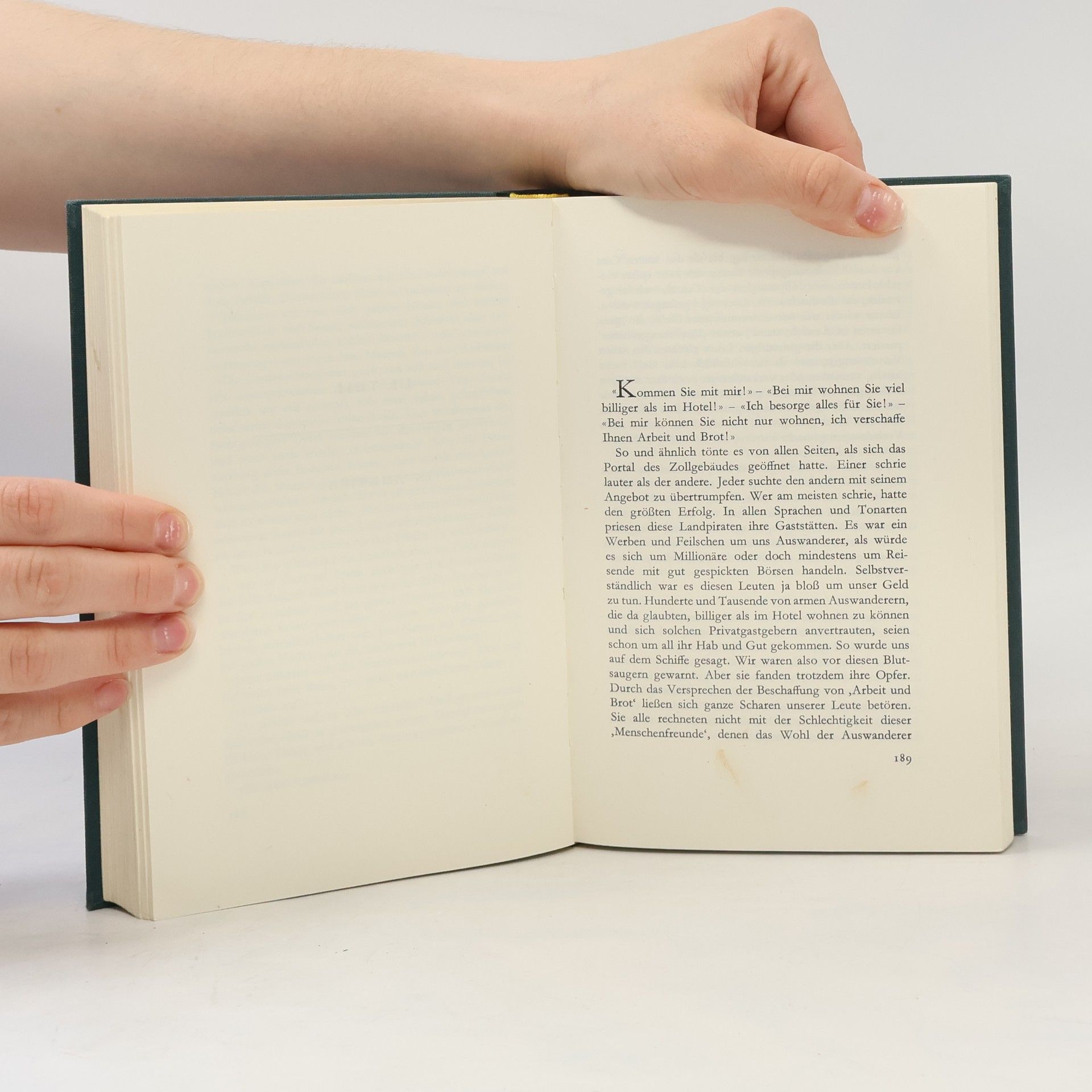 Edwin Honold Hinaus in die Welt