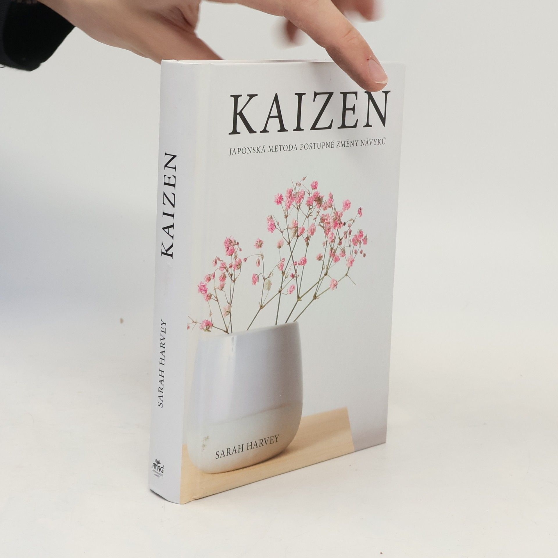 Sarah Harvey Kaizen: Japonská metoda postupné změny návyků