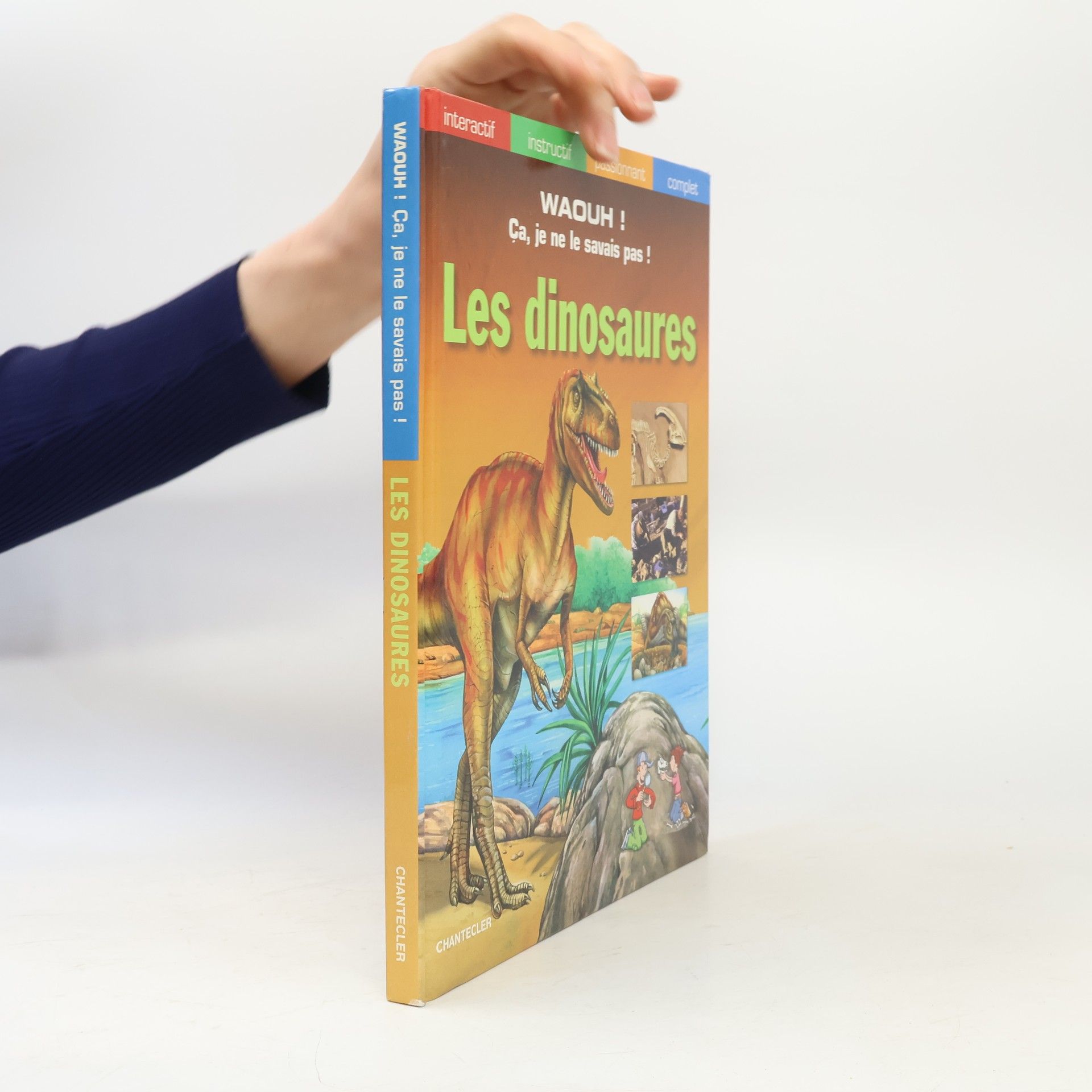 Gabi Neumayer Les dinosaures