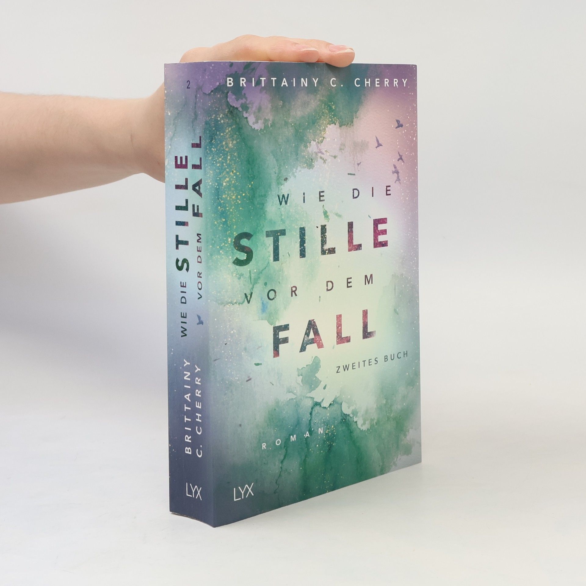 Brittainy C. Cherry Wie die Stille vor dem Fall 2
