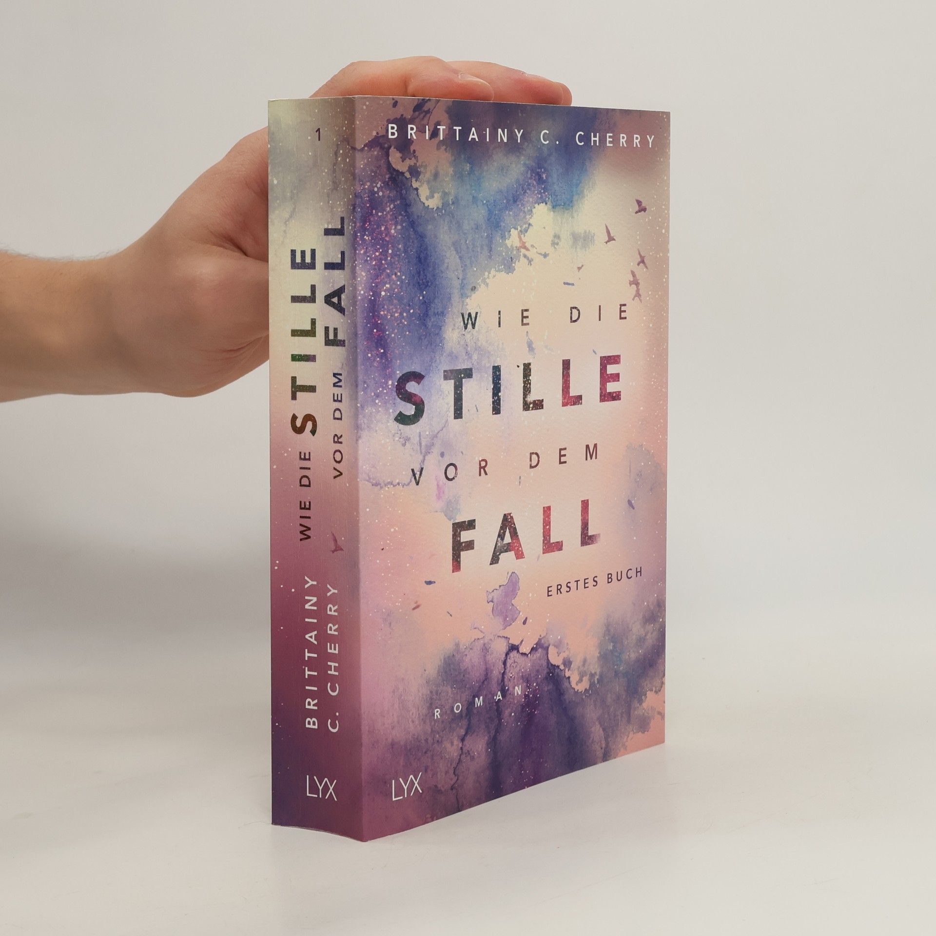 Brittainy C. Cherry Wie die Stille vor dem Fall