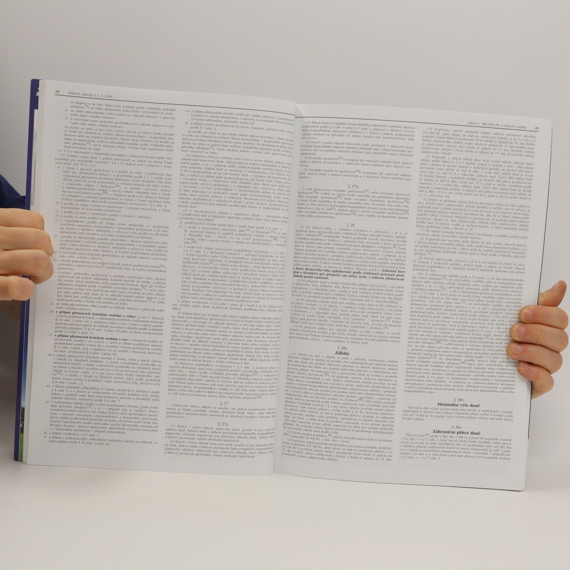 Zuzana Rylová Daňové zákony 2009 : s komentářem změn