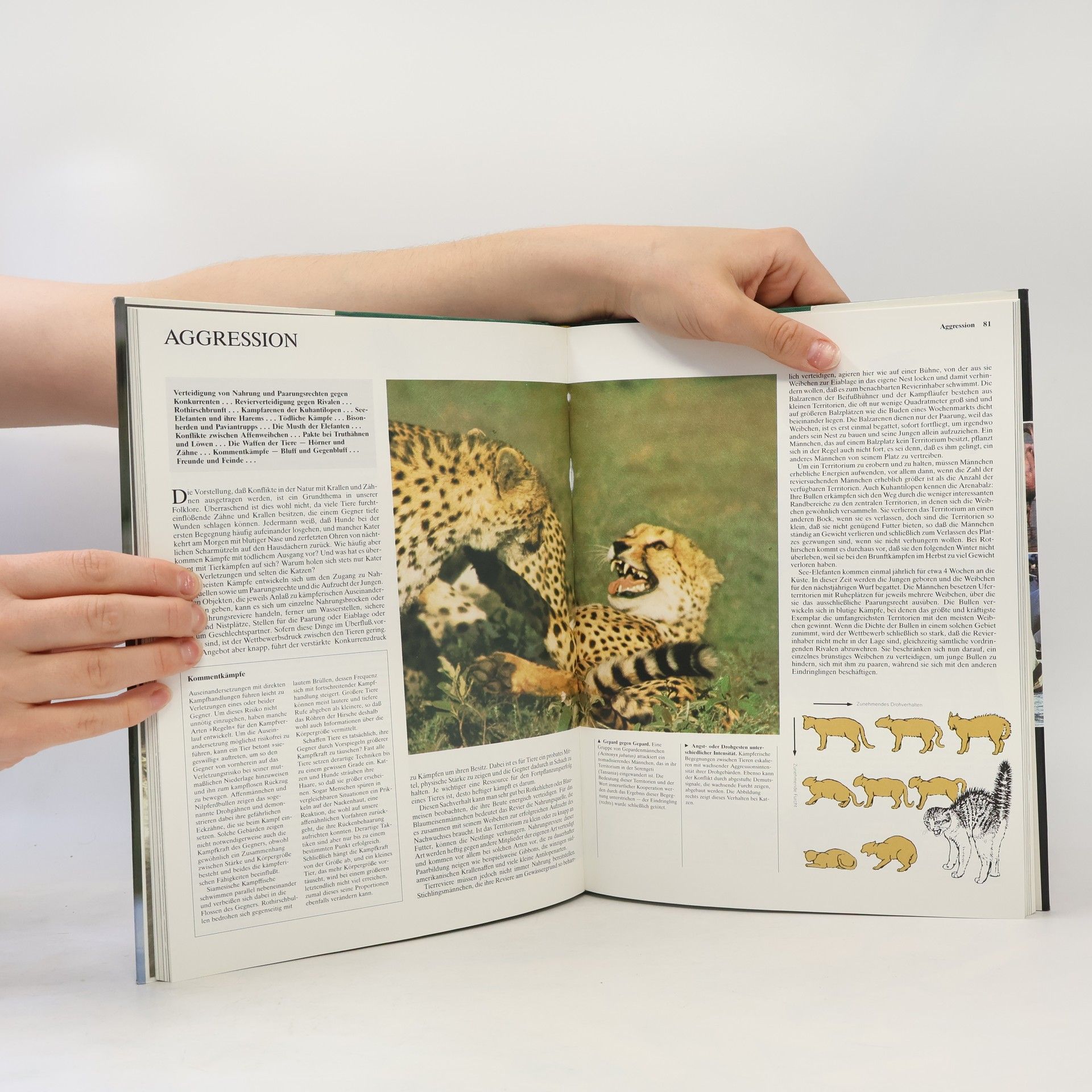 Kolektiv autorů Die Tiere unserer Welt 11