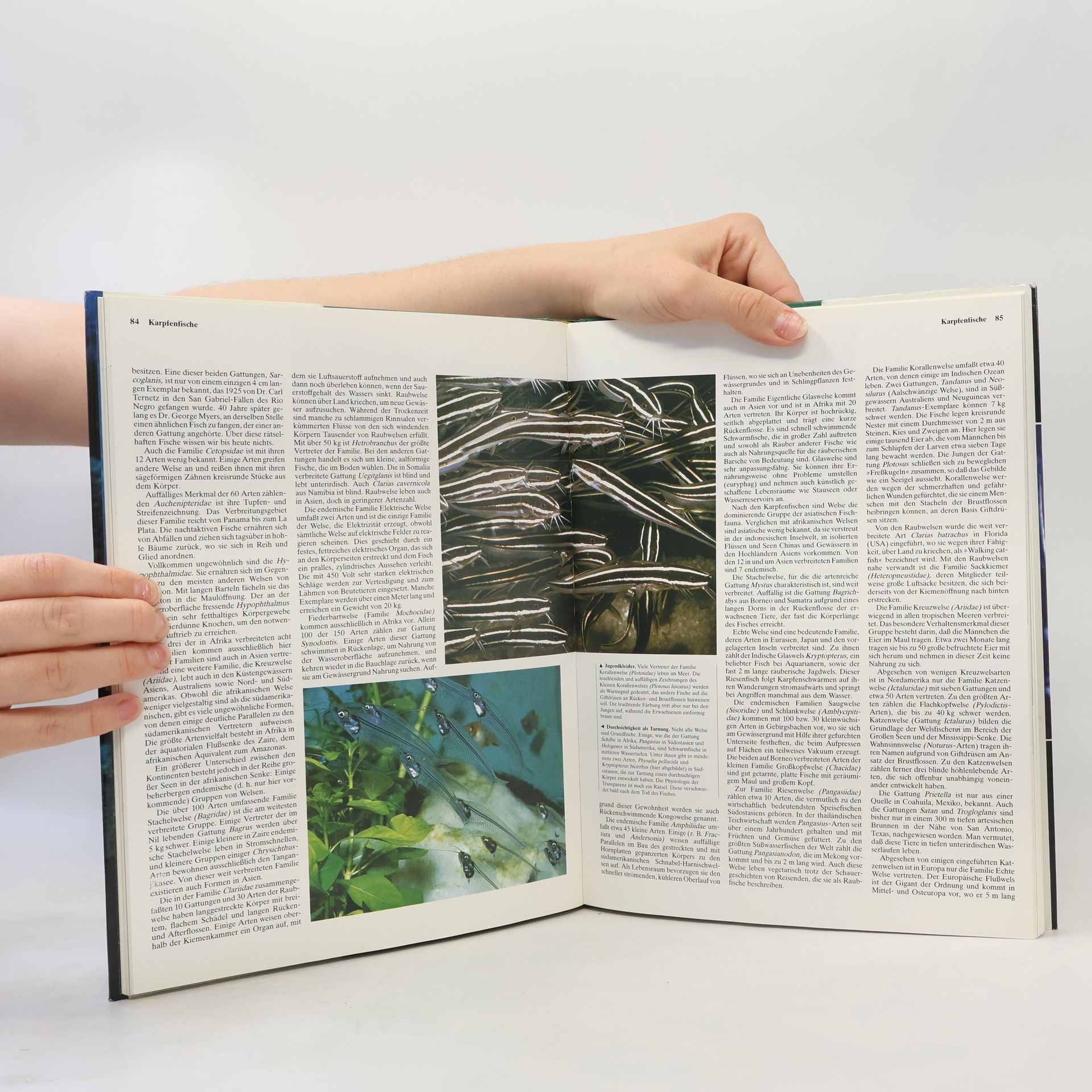 Various authors Die Tiere unserer Welt Band 9. Fische