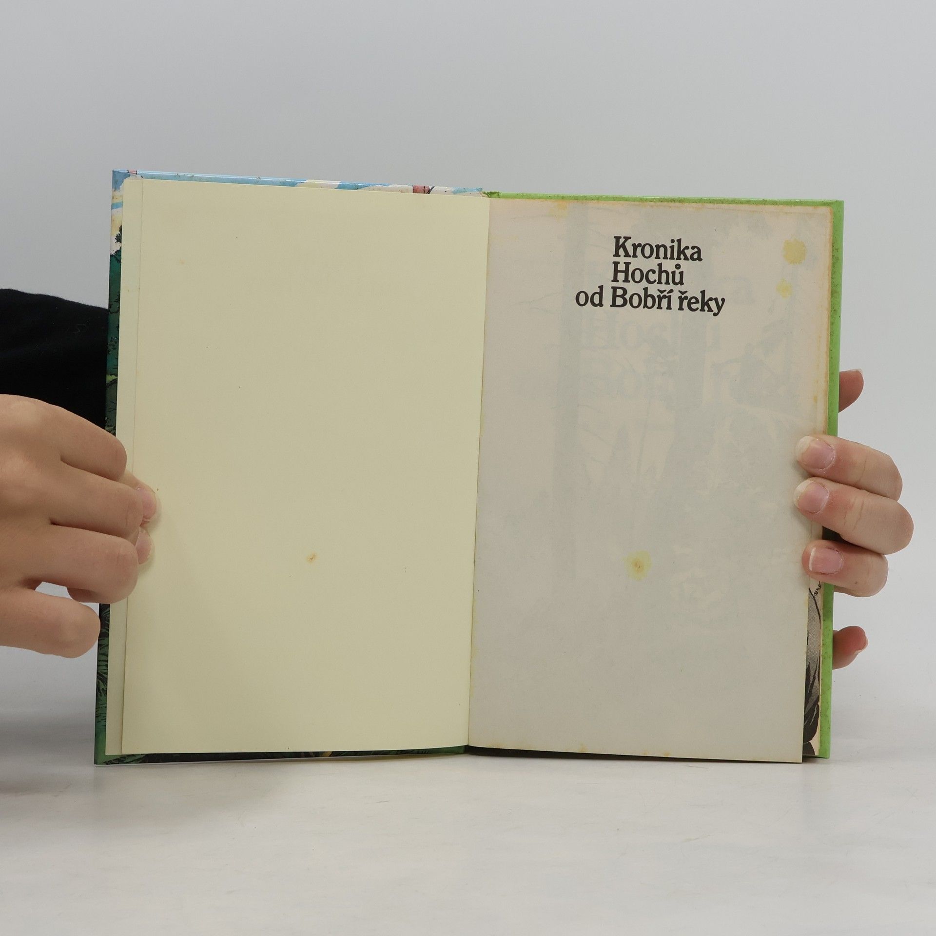 Jaroslav Foglar Kronika Hochů od Bobří řeky. I. Skautský rok