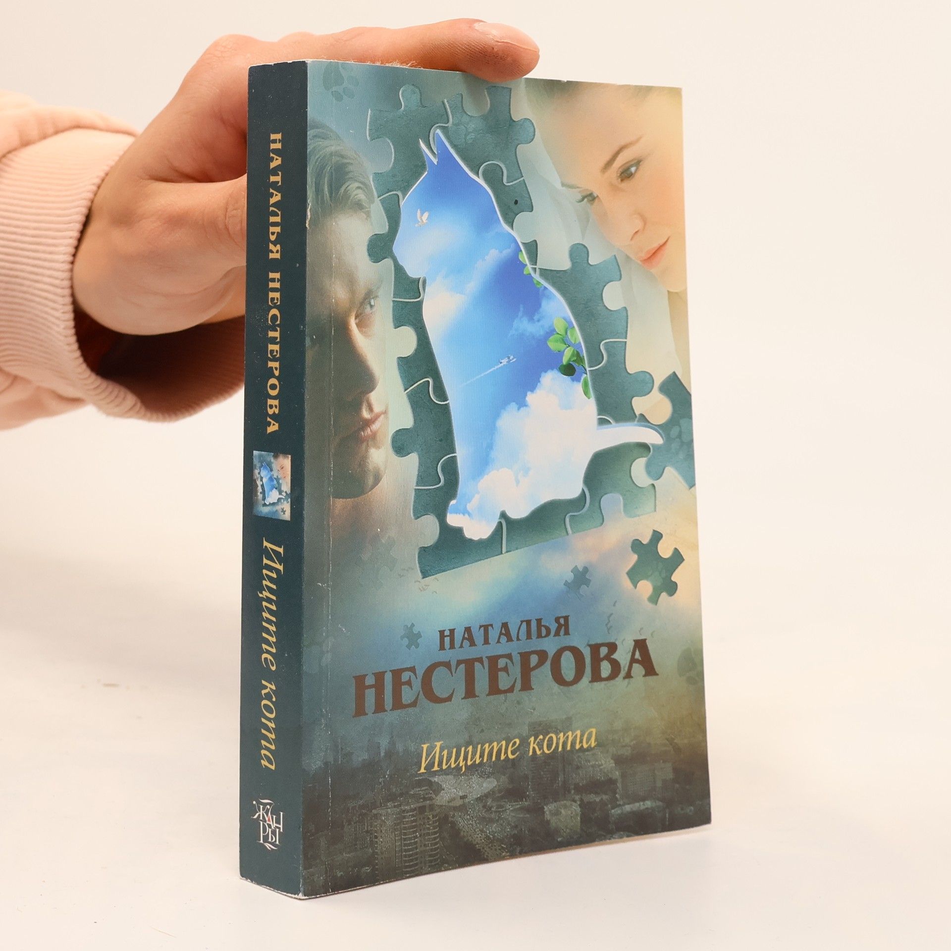 Наталья Нестерова Ищите кота