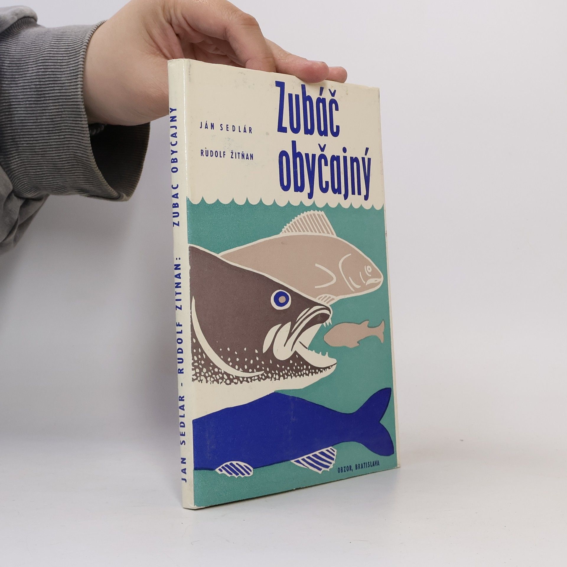Zubáč obyčajný