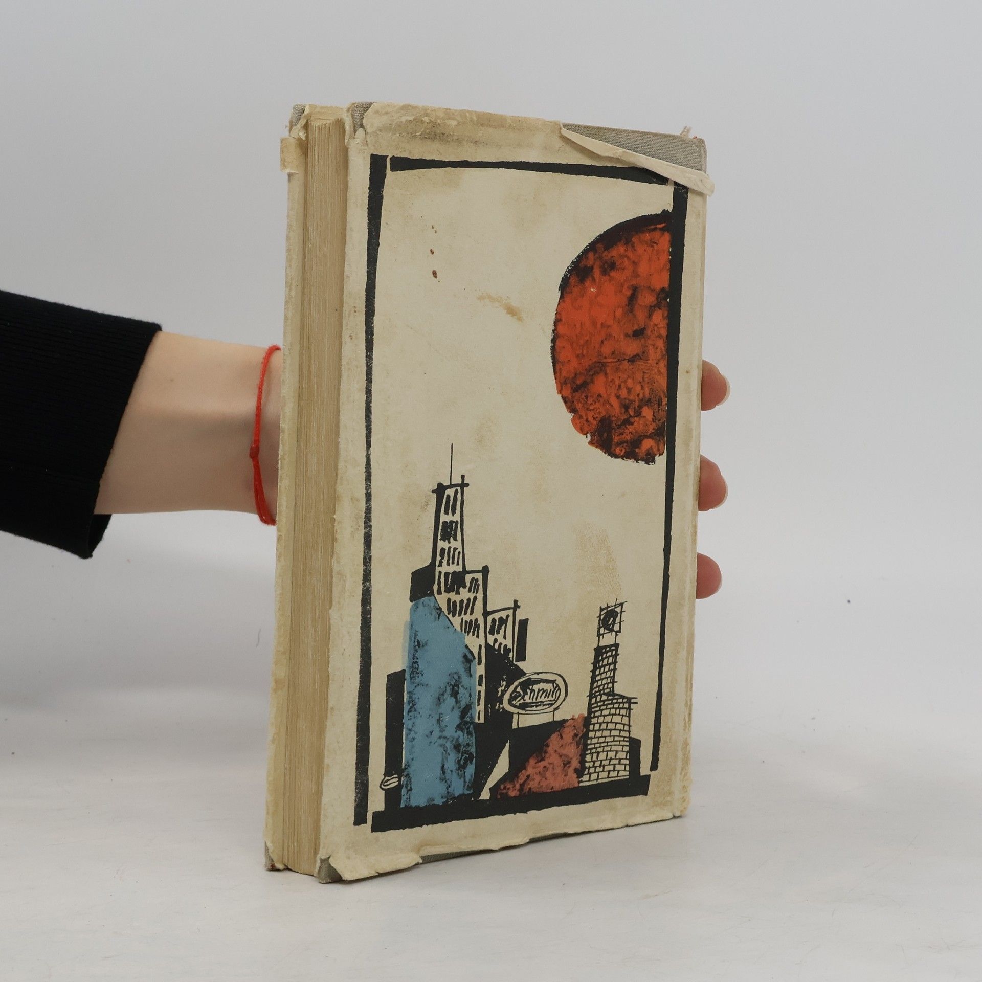 J. D. Salinger Kdo chytá v žitě