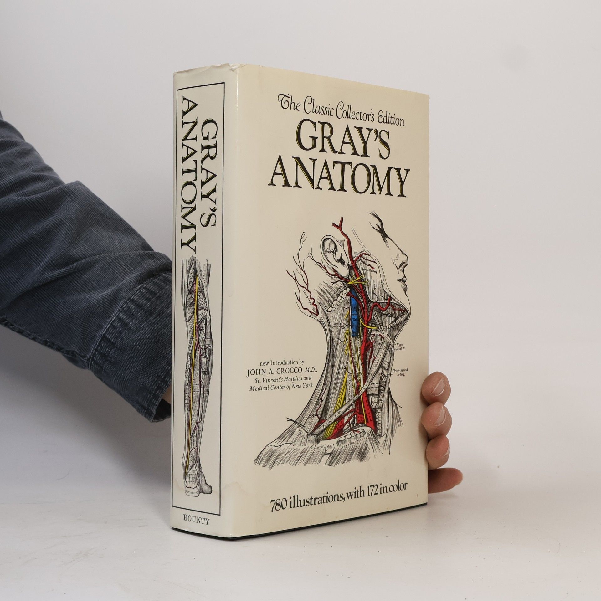 Henry Gray Grey´s Anatomy