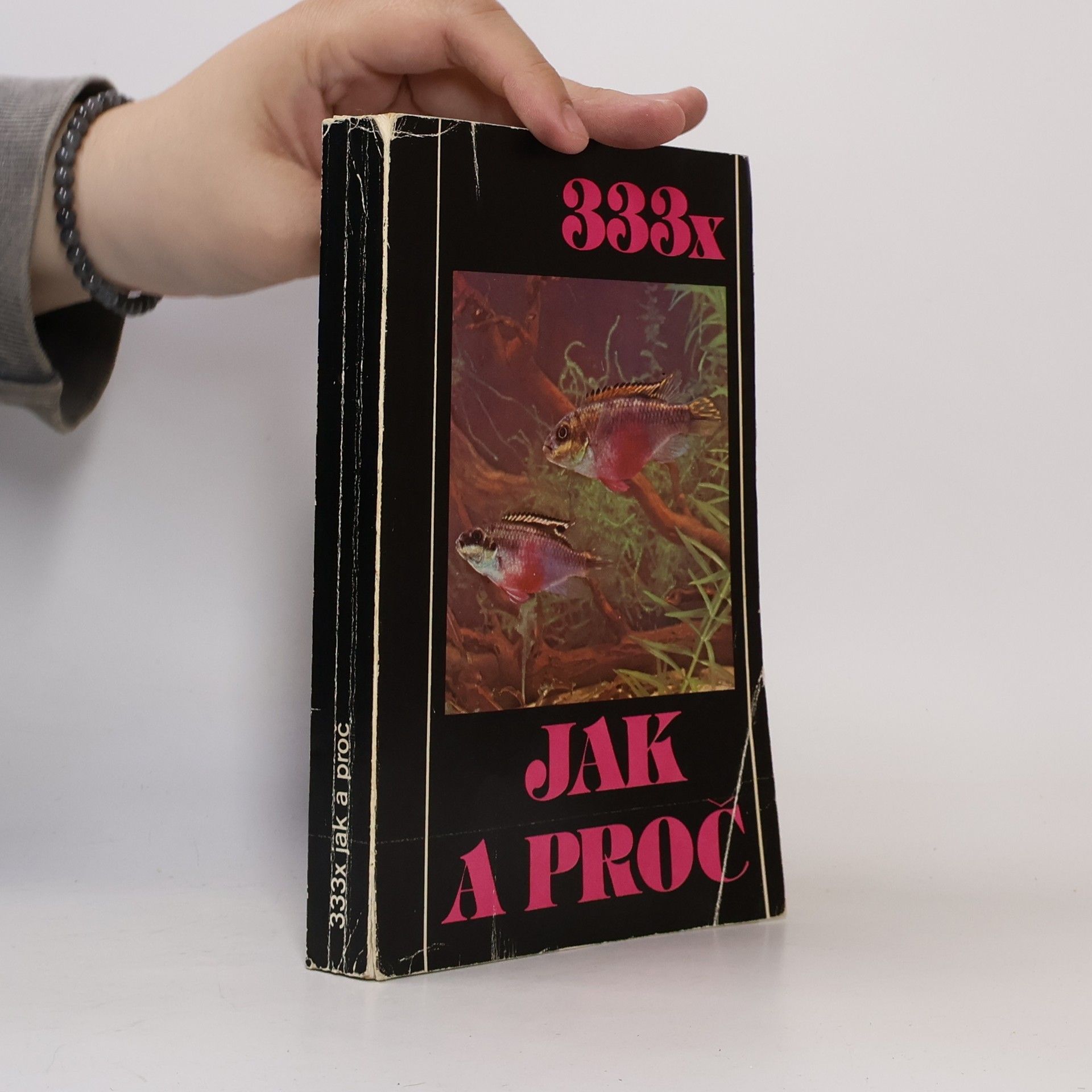 Autorenkollektiv 333x jak a proč