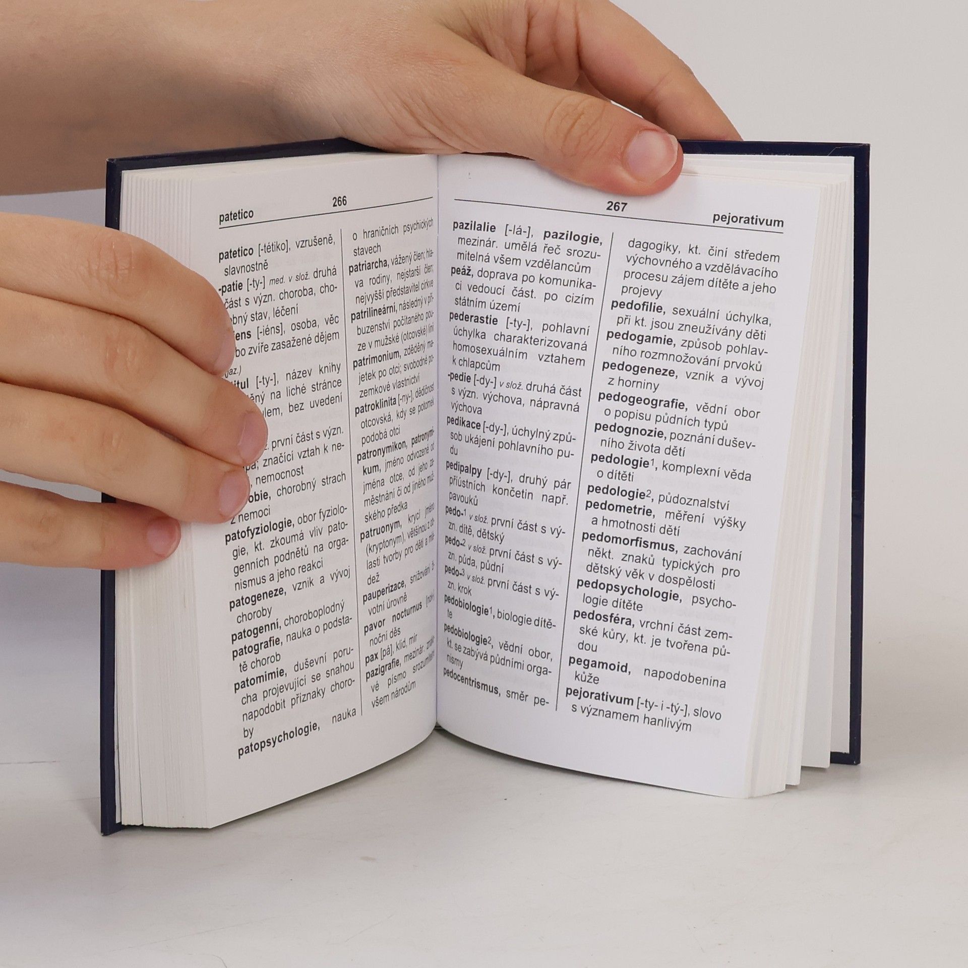 Collectif d'auteurs Kapesní slovník cizích slov