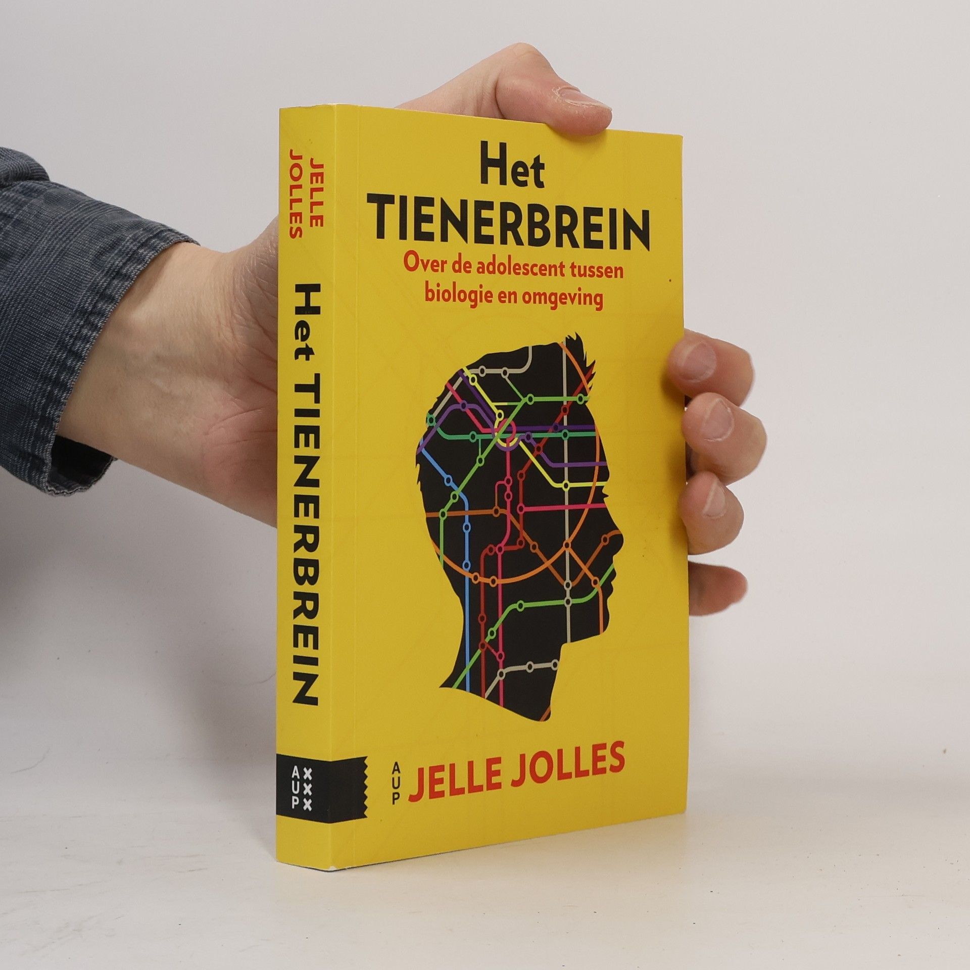 Jelle Jolles Het tienerbrein