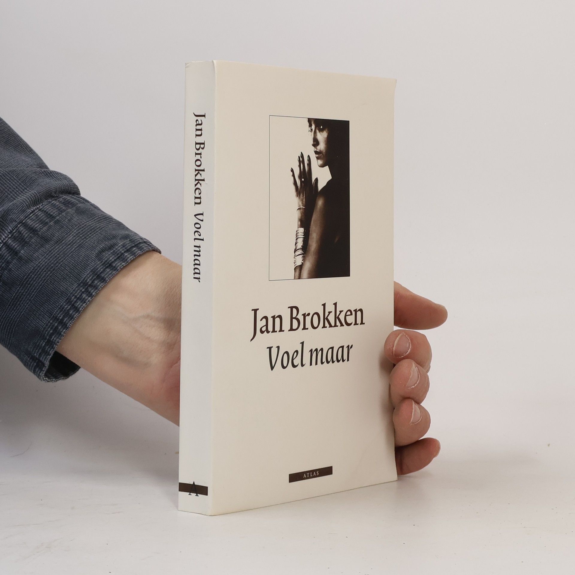 Jan C. Brokken Voel maar