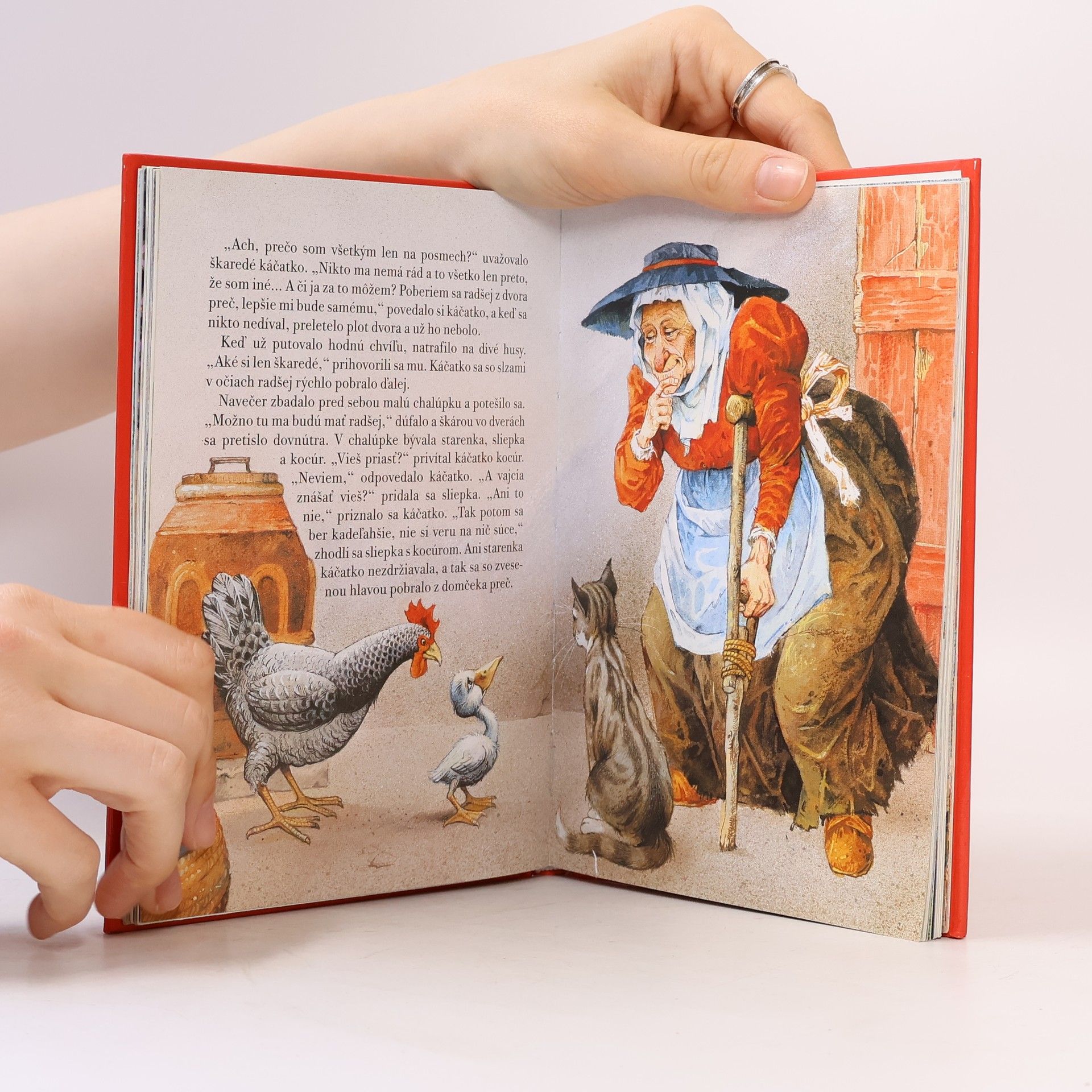 Hans-Christian Andersen Rozprávky