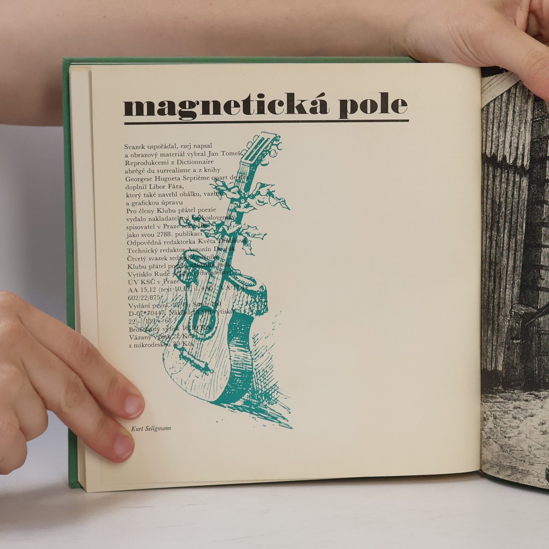 Kolektív autorov Magnetická pole