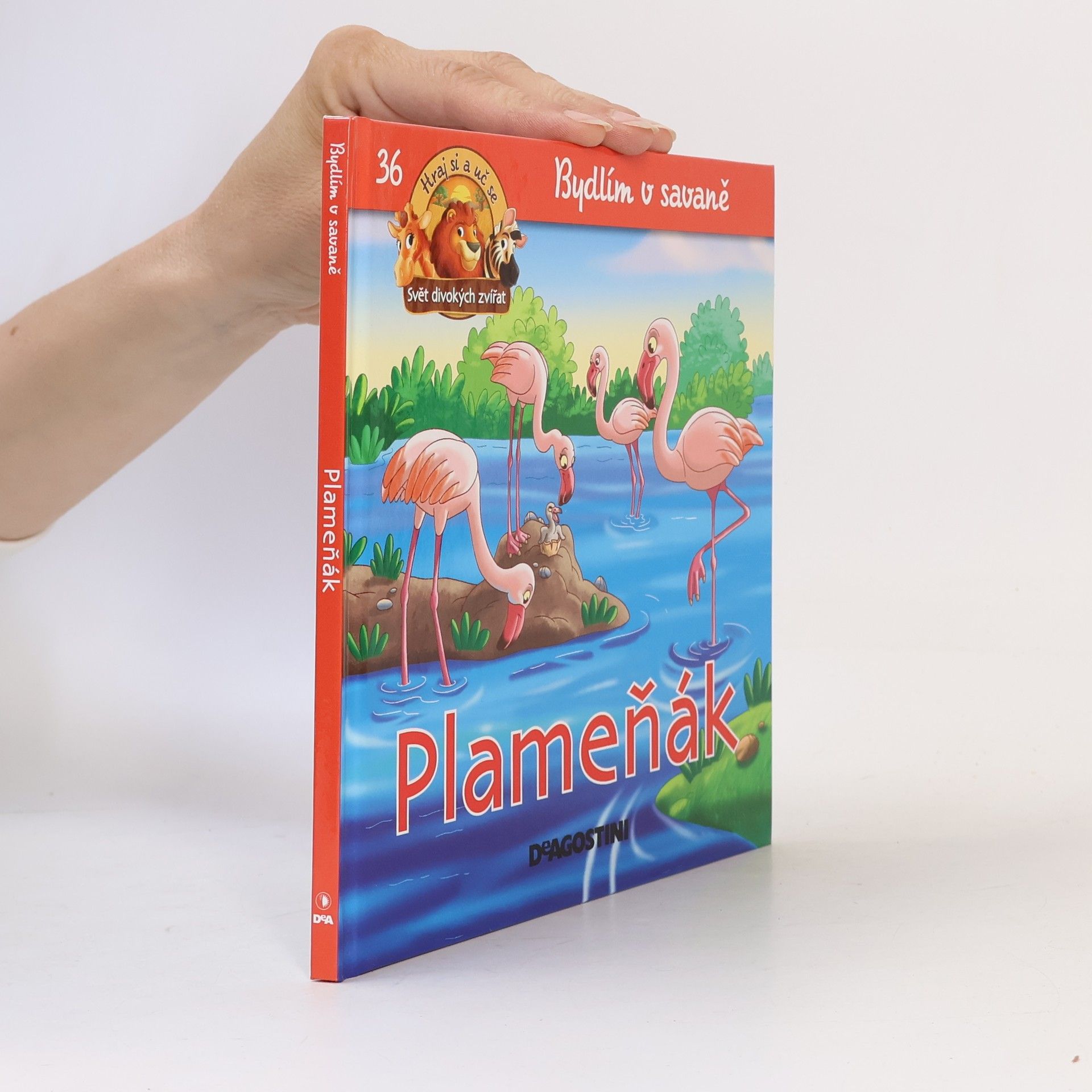Auteurscollectief Bydlím v savaně 36. Plameňák