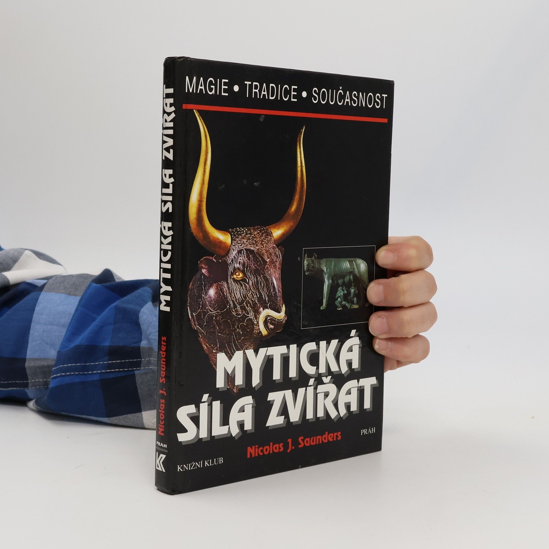 Nicholas J. Saunders Mytická síla zvířat