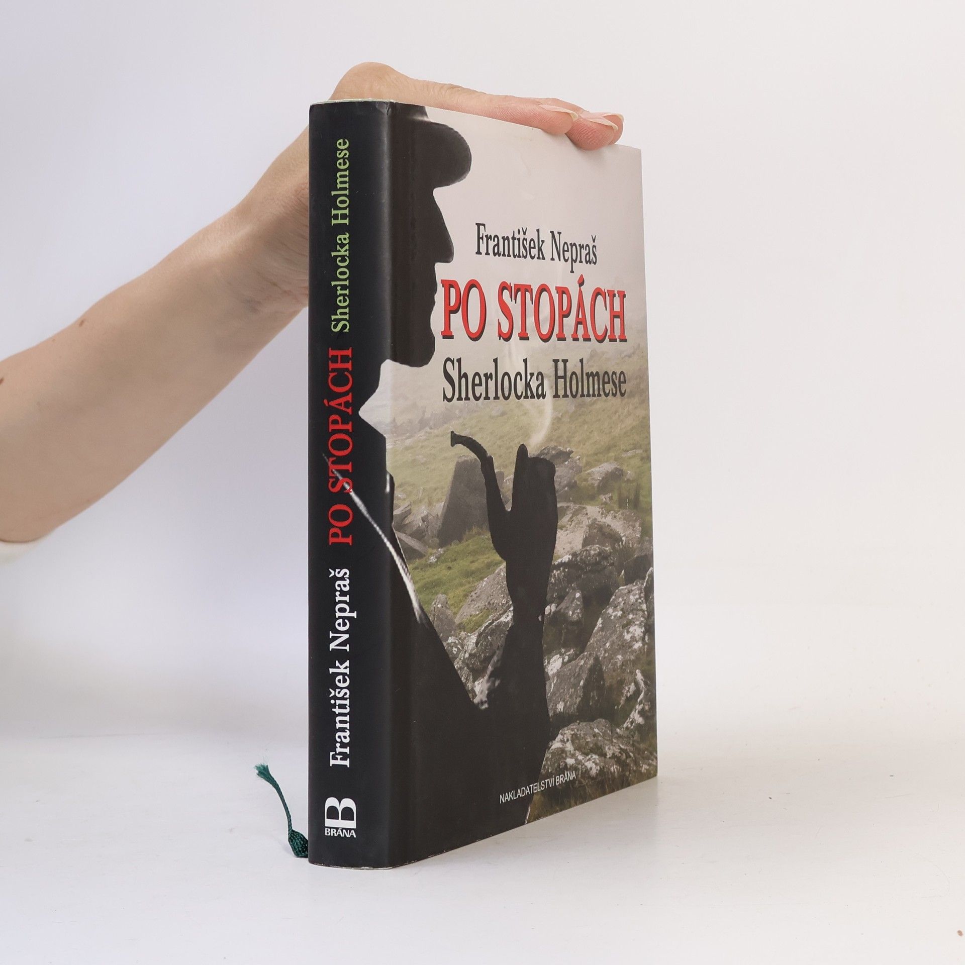 Po stopách Sherlocka Holmese: Dartmoorskými blaty za Psem baskervillským