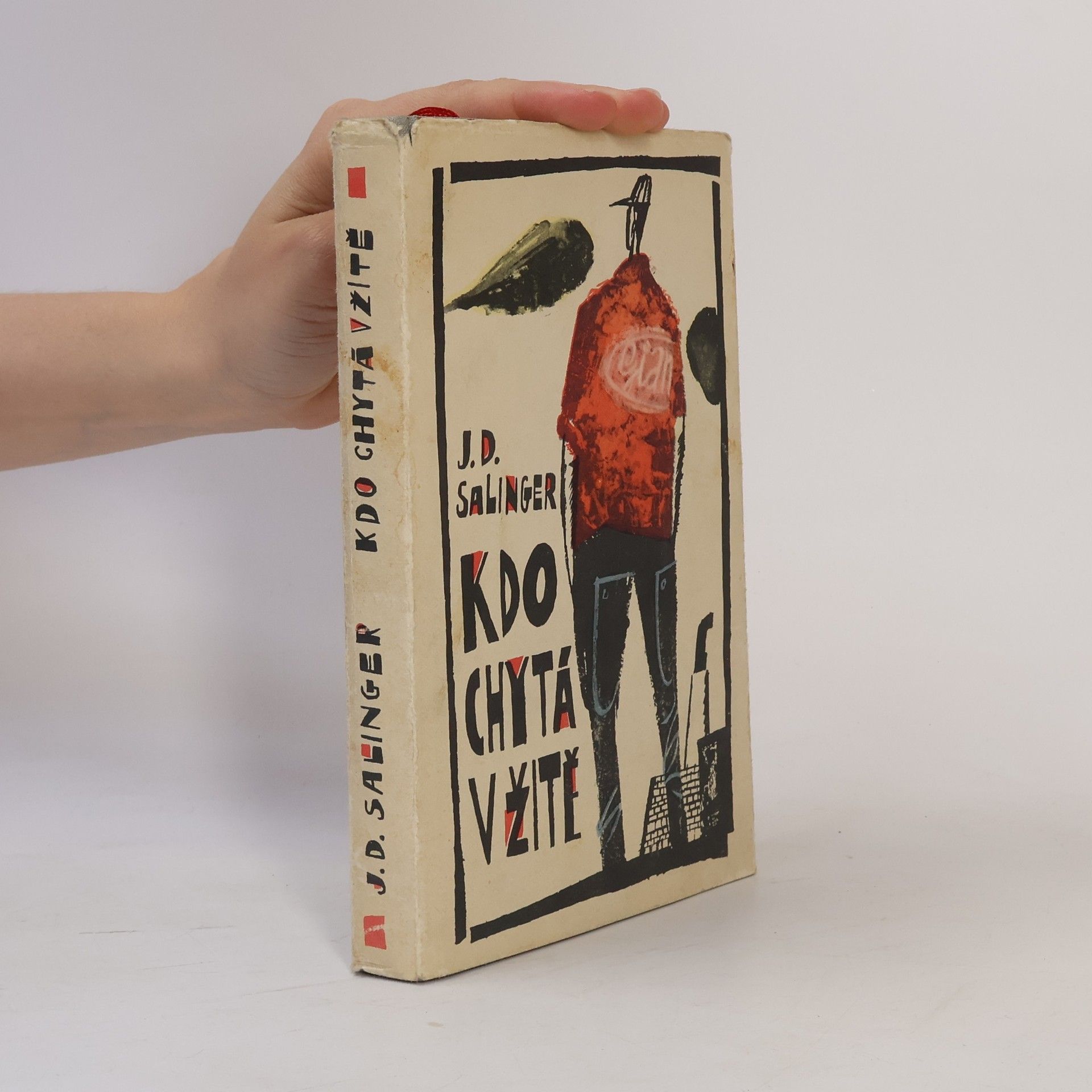 J. D. Salinger Kdo chytá v žitě