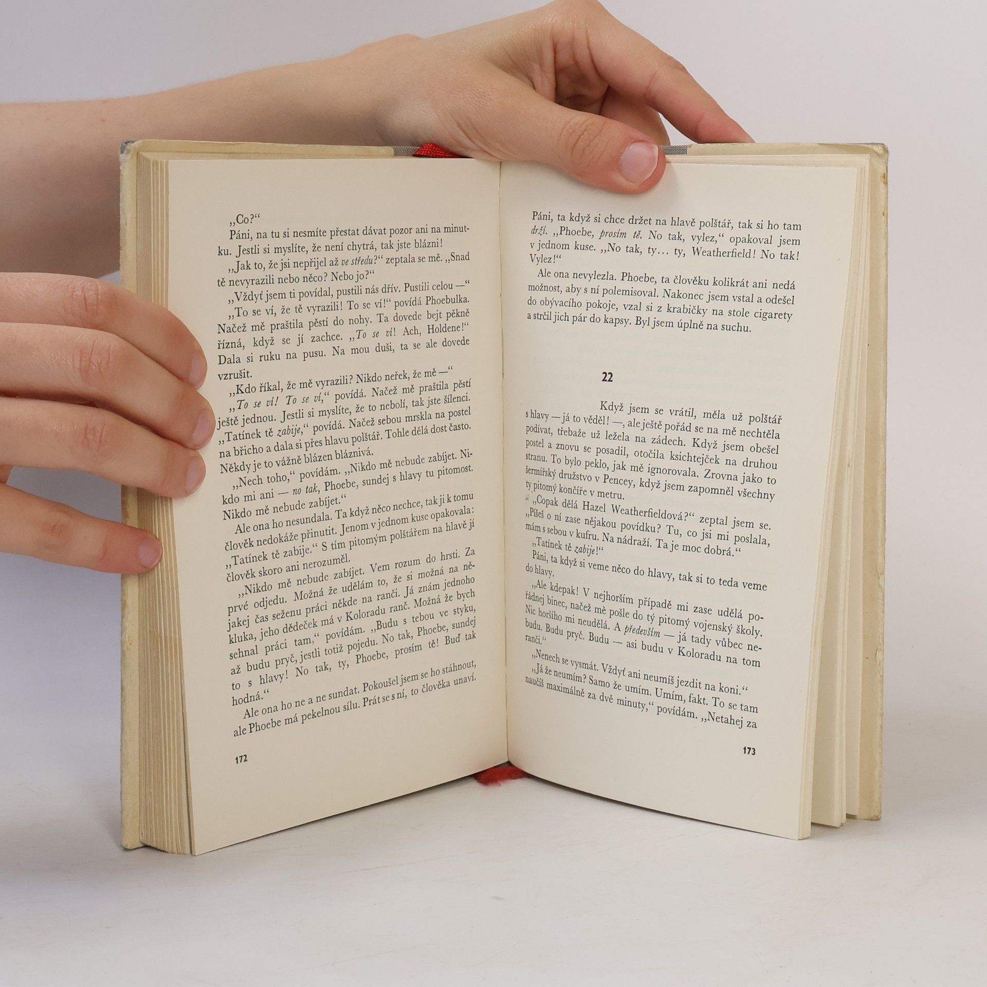 J. D. Salinger Kdo chytá v žitě