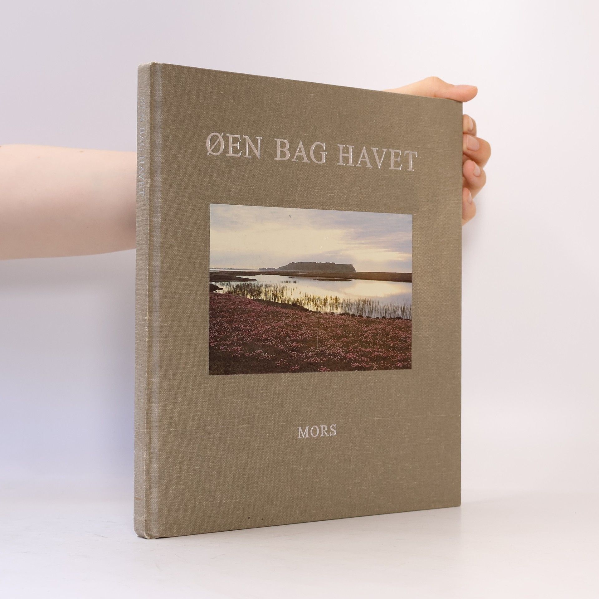 Kirsten Klein Øen bag havet