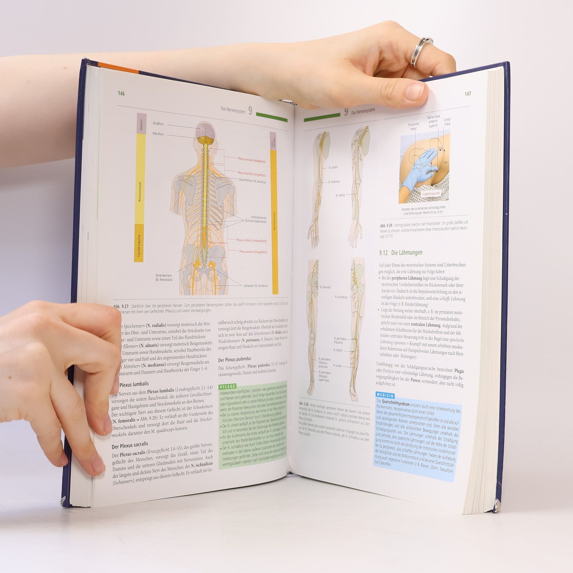 Nicole Menche Biologie, Anatomie, Physiologie