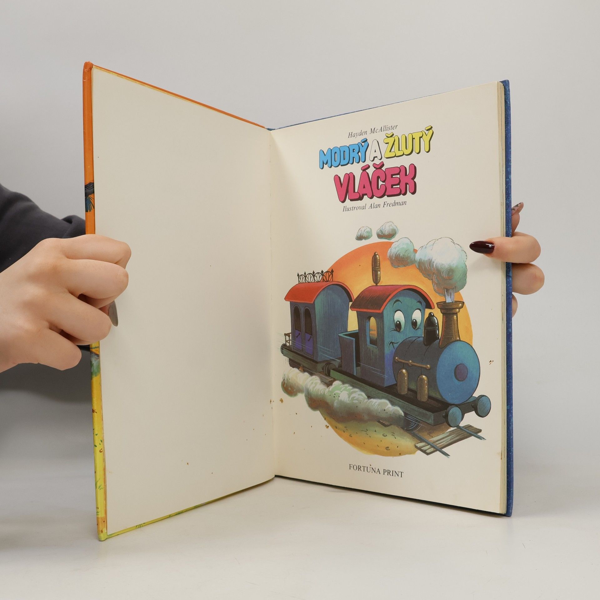 Hayden McAllister Modrý a žlutý vláček