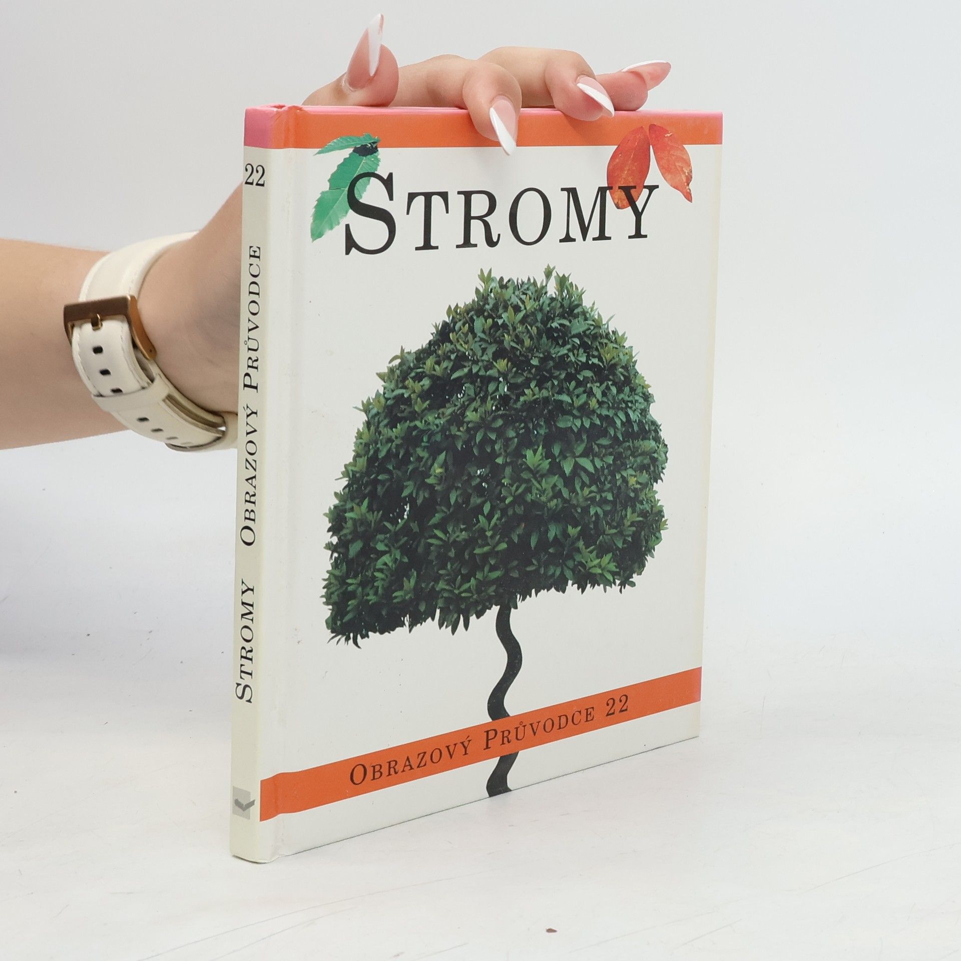 Autorenkollektiv Stromy