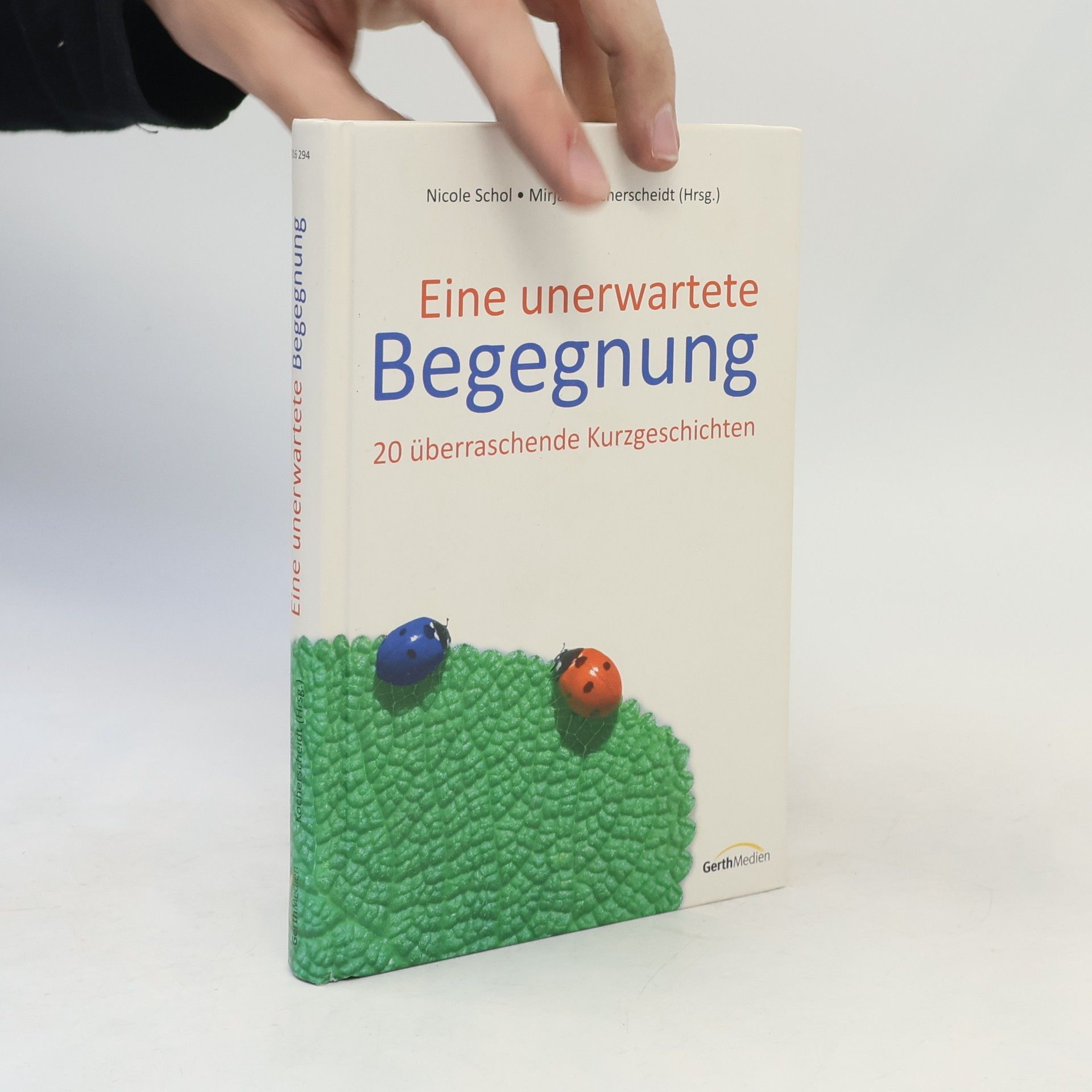 Mirjam Kocherscheidt Eine unerwartete Begegnung. 20 überraschende Kurzgeschichten