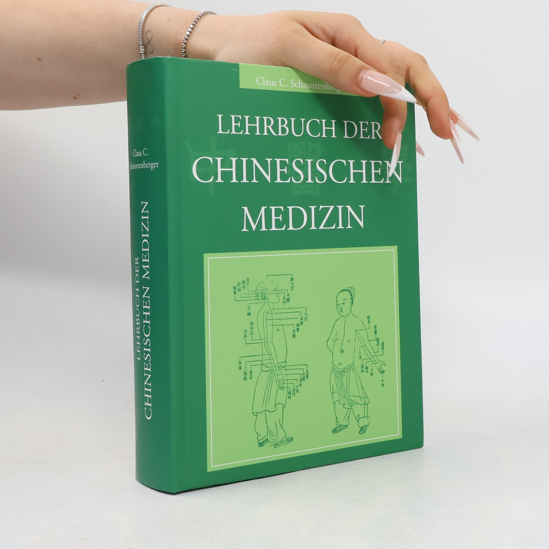 Claus C. Schnorrenberger Lehrbuch der chinesischen Medizin