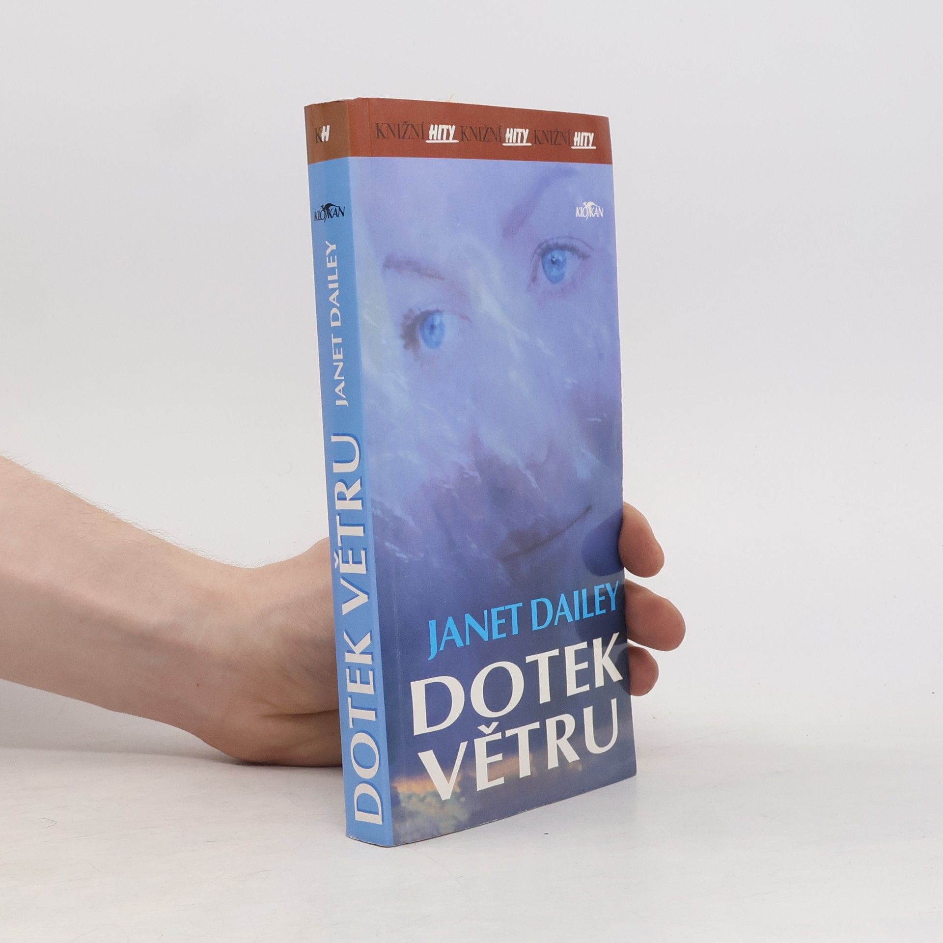 Janet Dailey Dotek větru