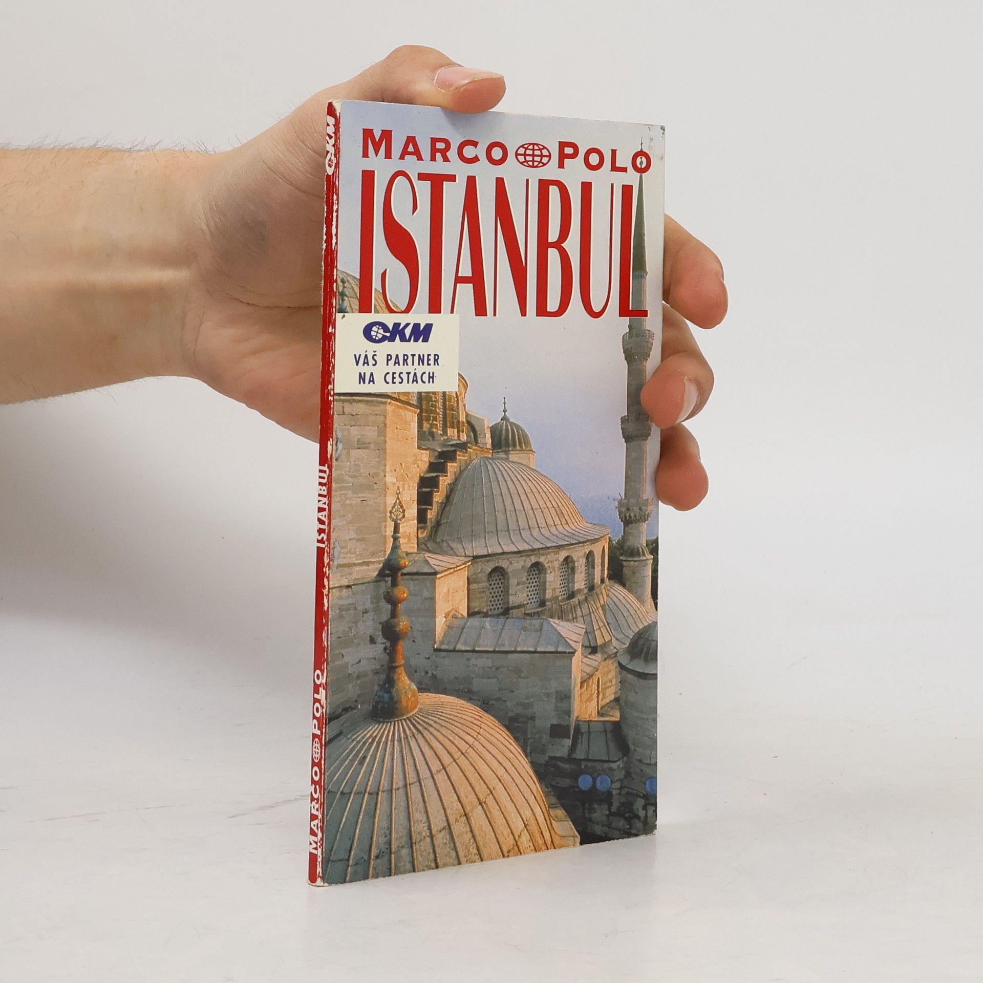 Istanbul. Průvodce na cesty s osvědčenými tipy