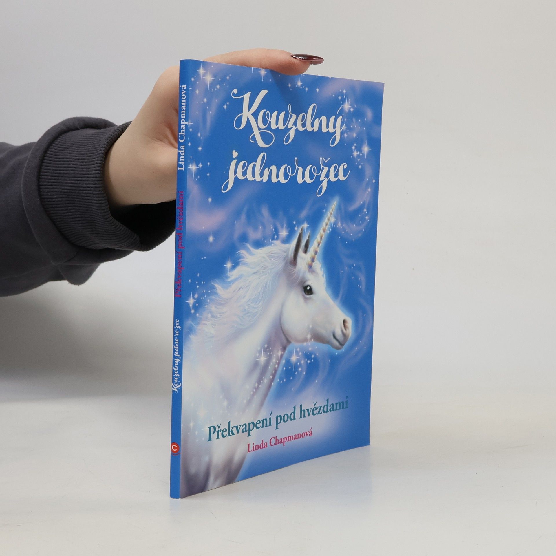 Linda Chapman Překvapení pod hvězdami