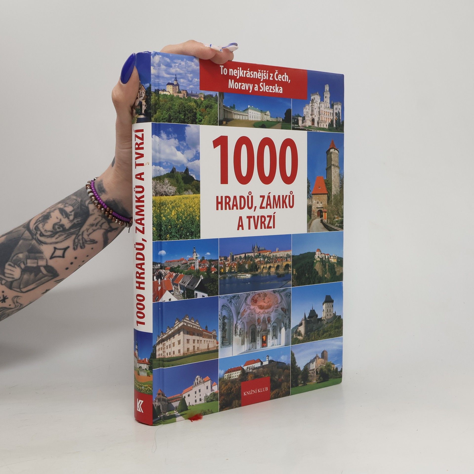 P. David 1000 hradů, zámků a tvrzí
