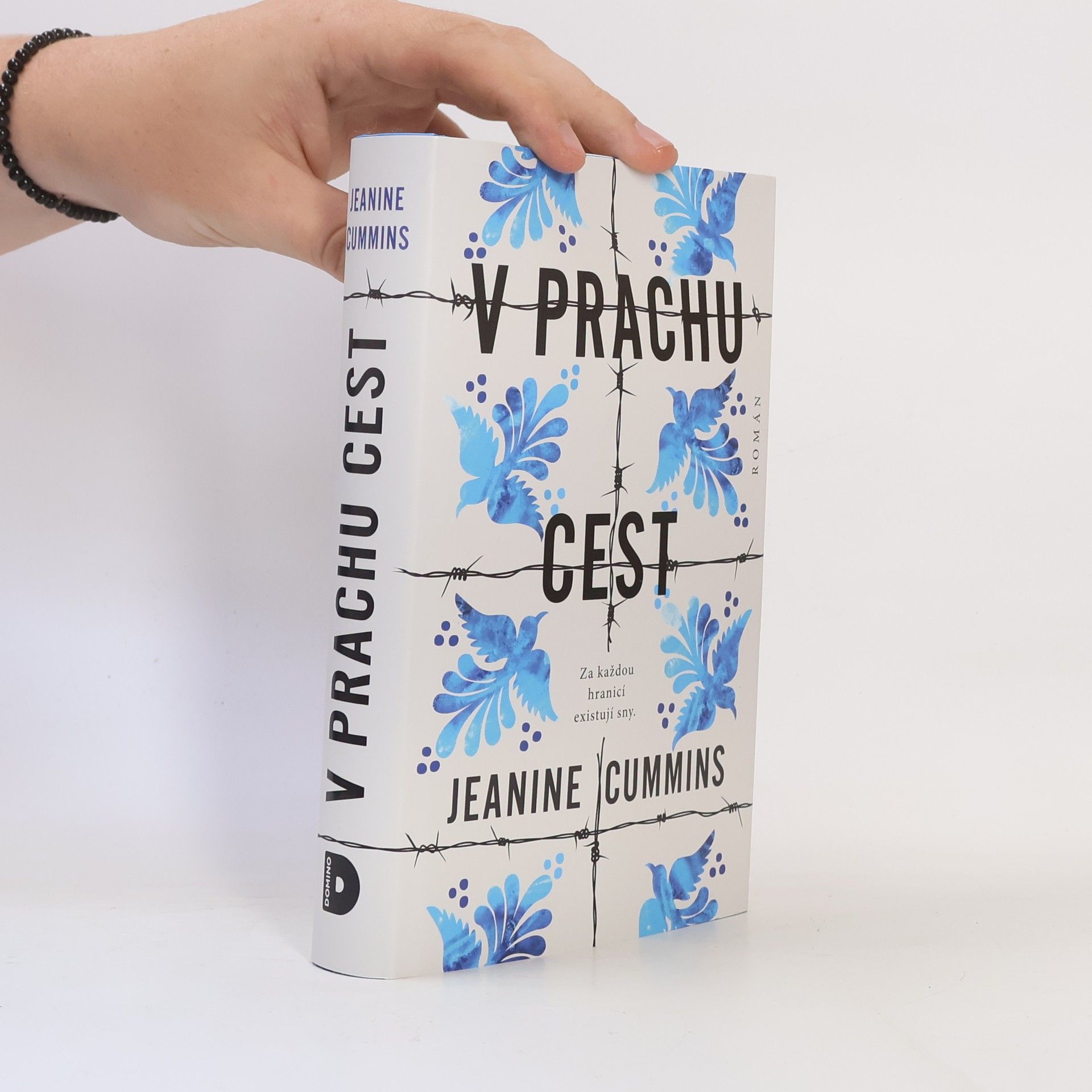 Jeanine Cummins V prachu cest