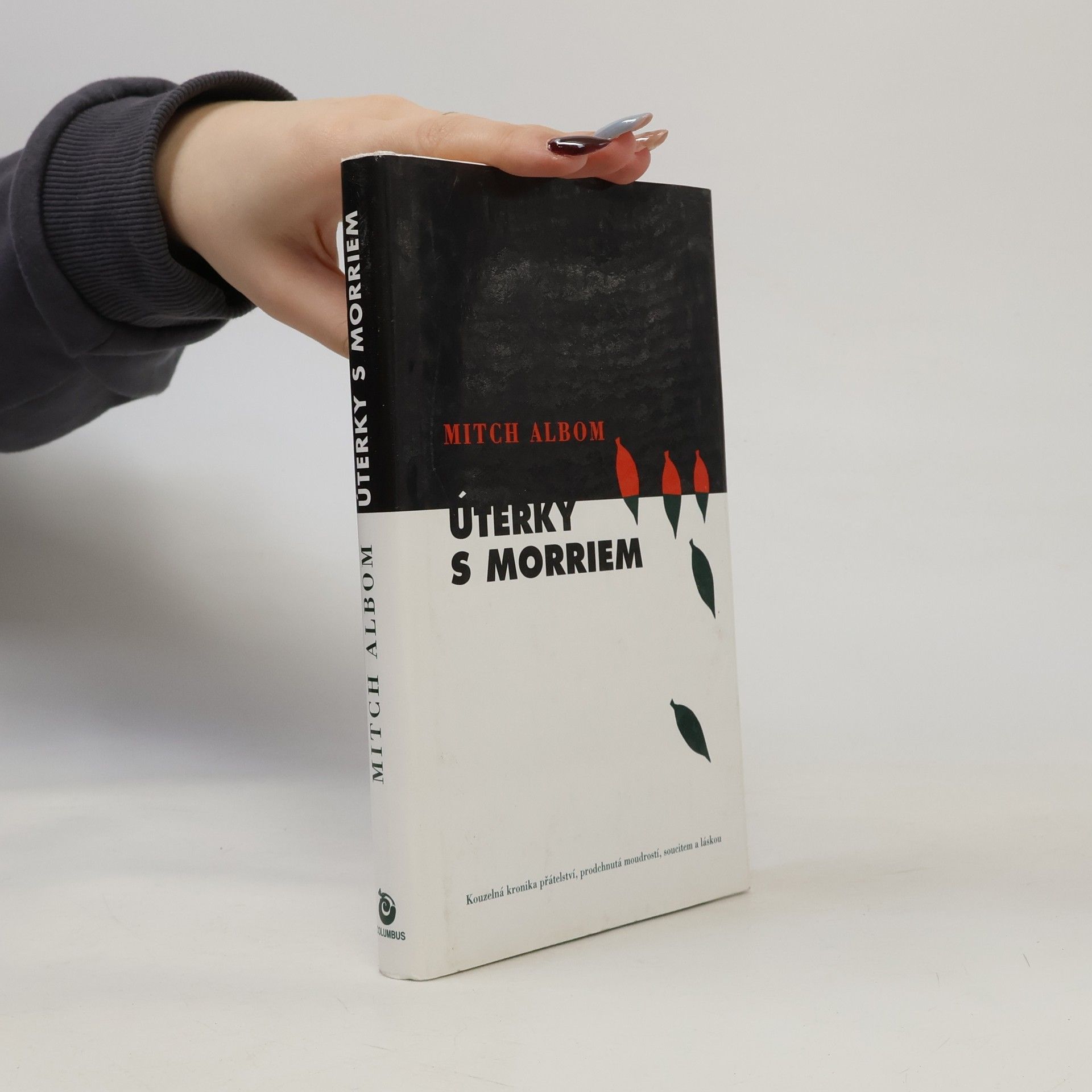Mitch Albom Úterky s Morriem