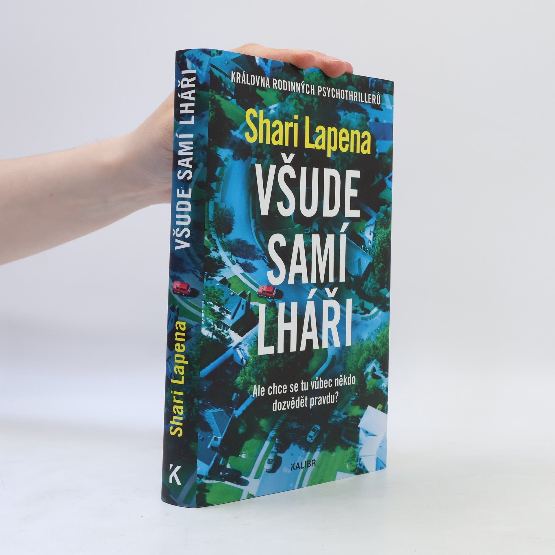 Shari Lapena Všude samí lháři