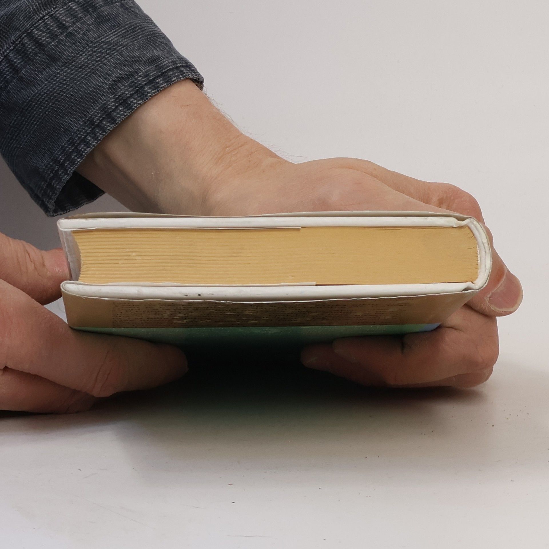 Danielle Steel Uzavřený kruh