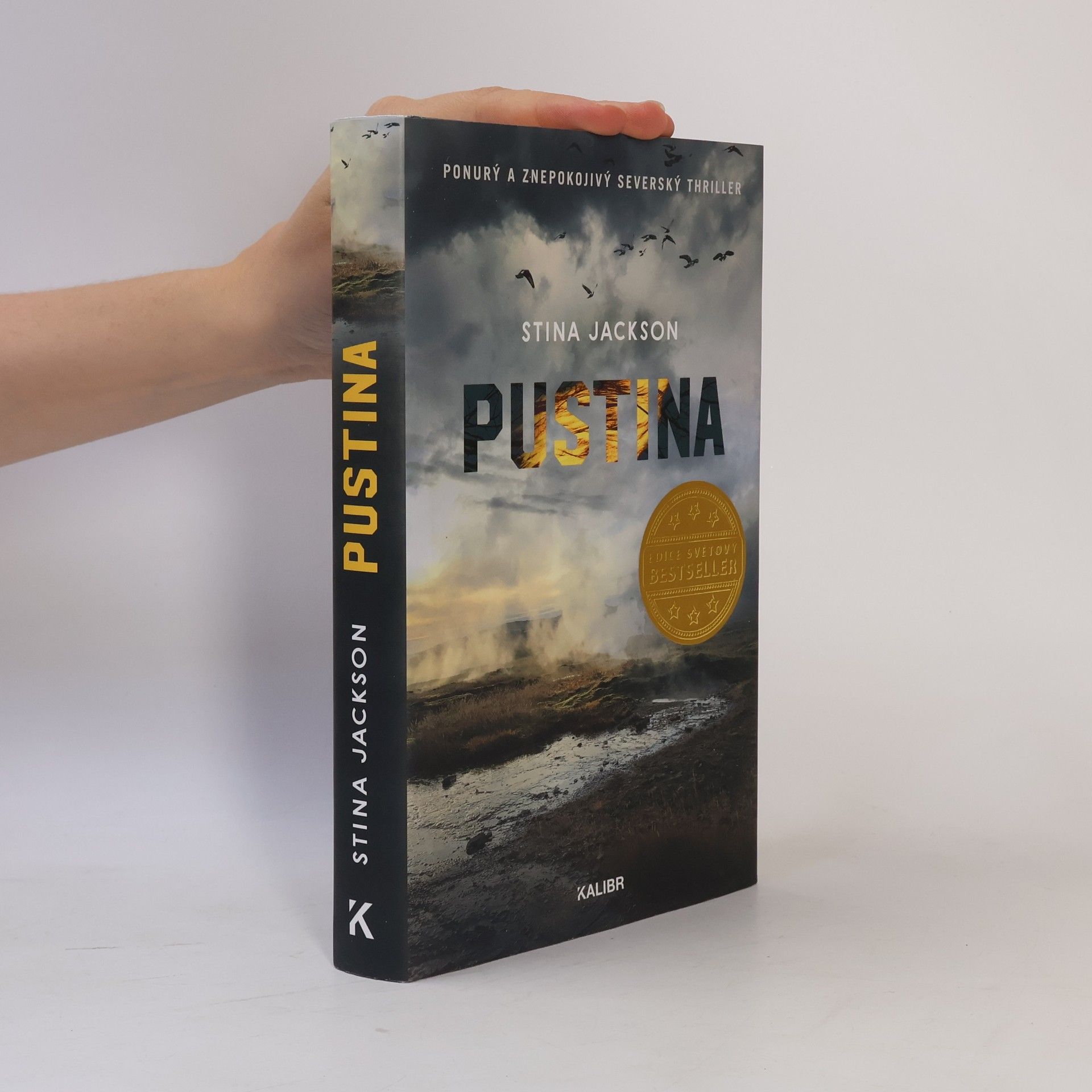 Stina Jackson Pustina