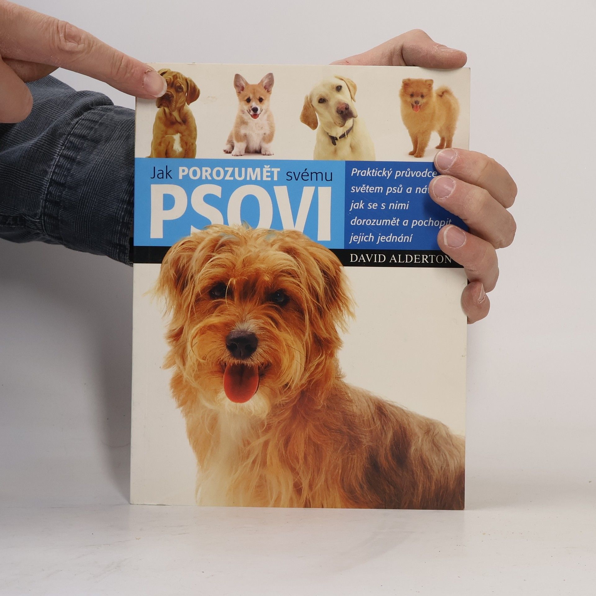 David Alderton Jak porozumět svému psovi