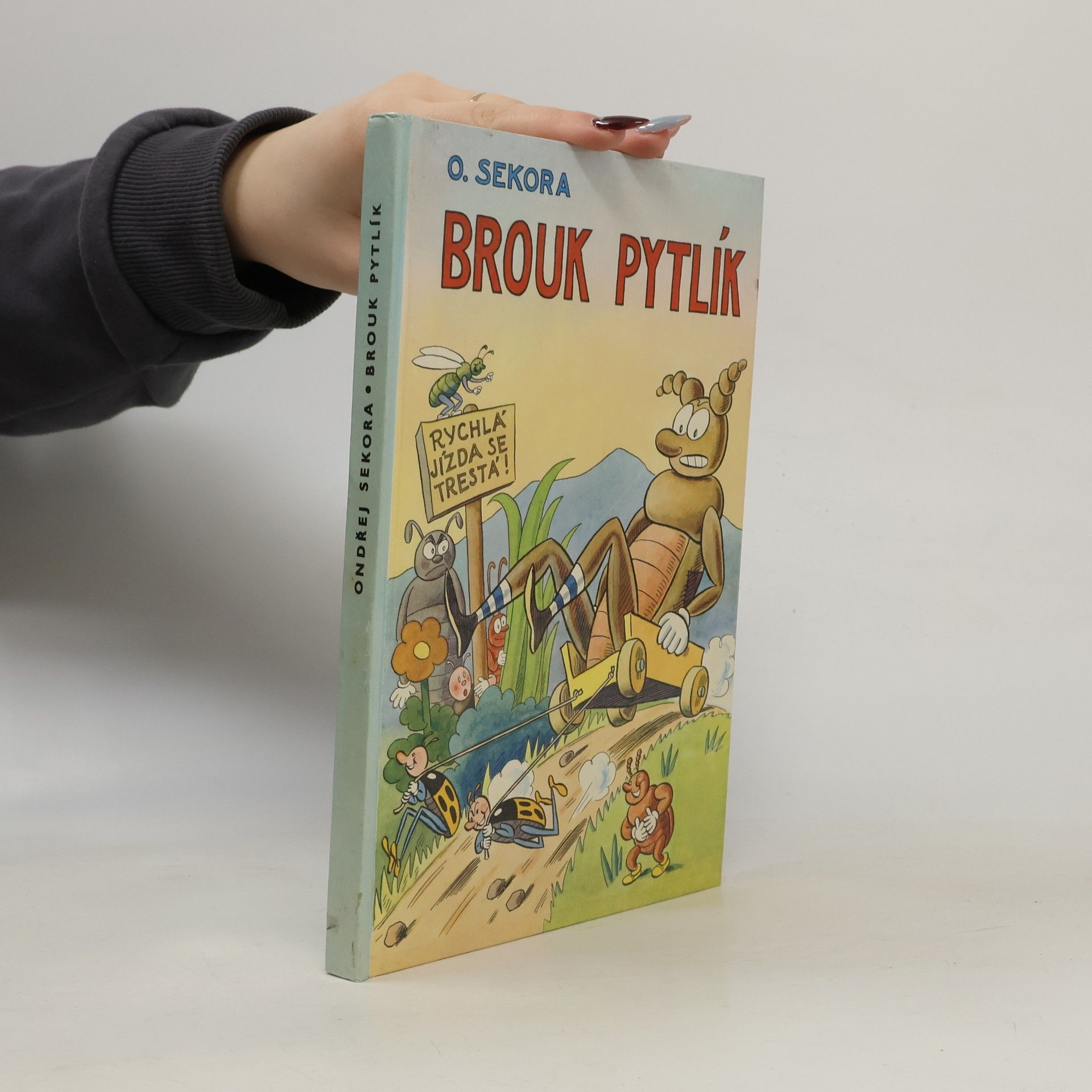 Ondřej Sekora Brouk Pytlík