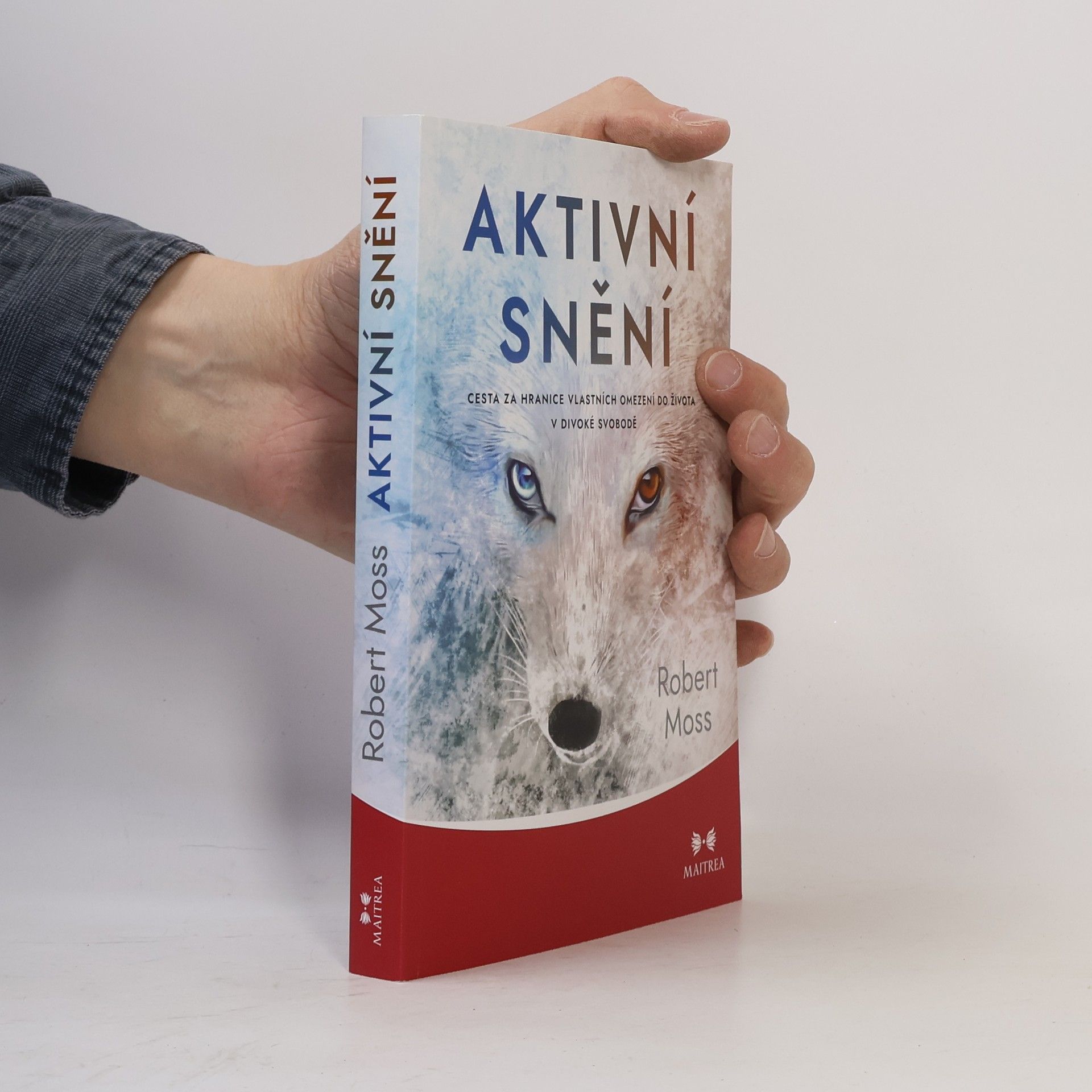 Robert Moss Aktivní snění